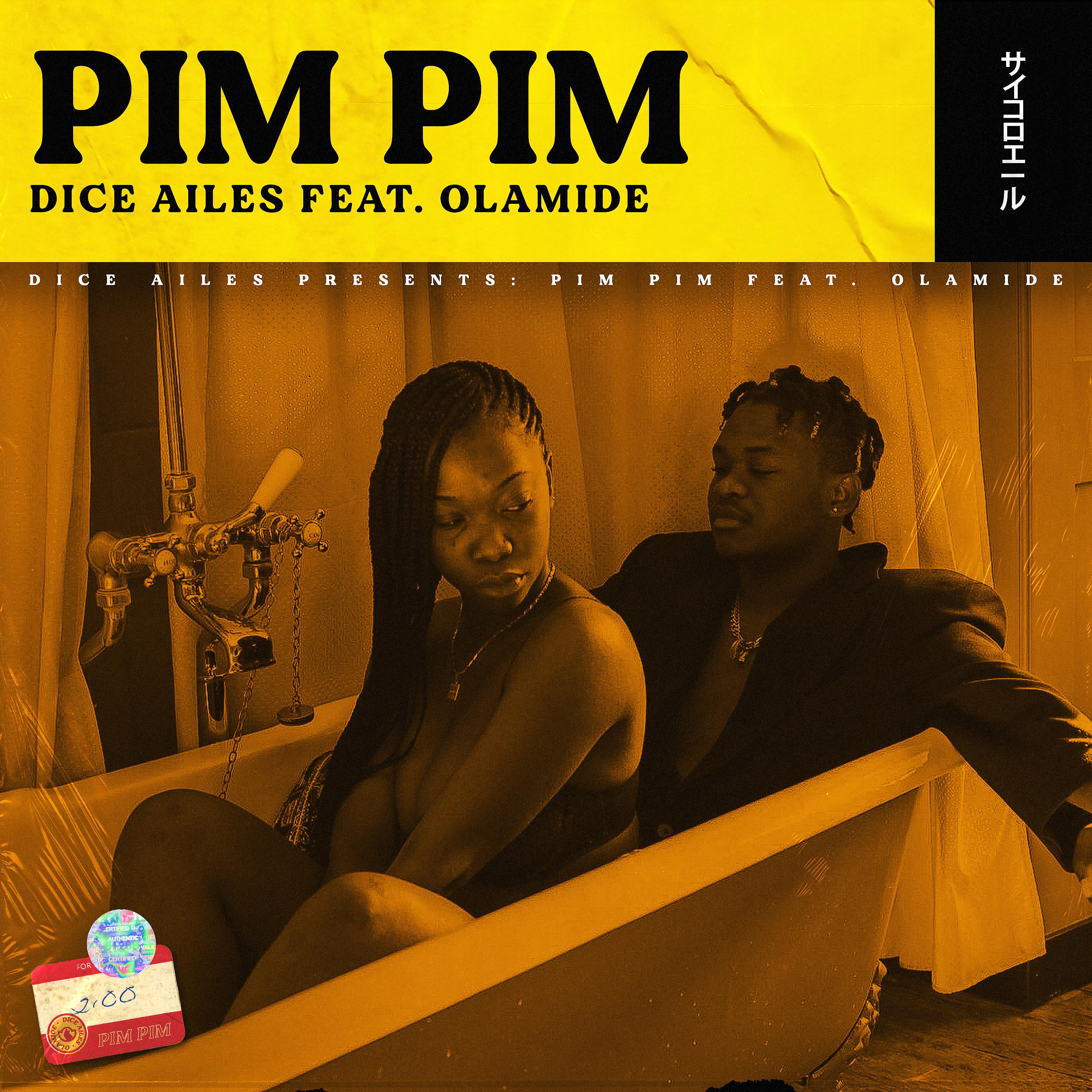 Постер альбома Pim Pim (feat. Olamide)