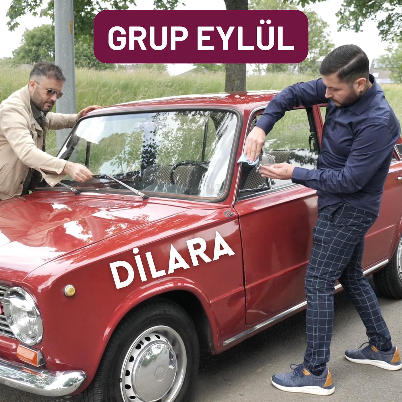 Постер альбома Dilara