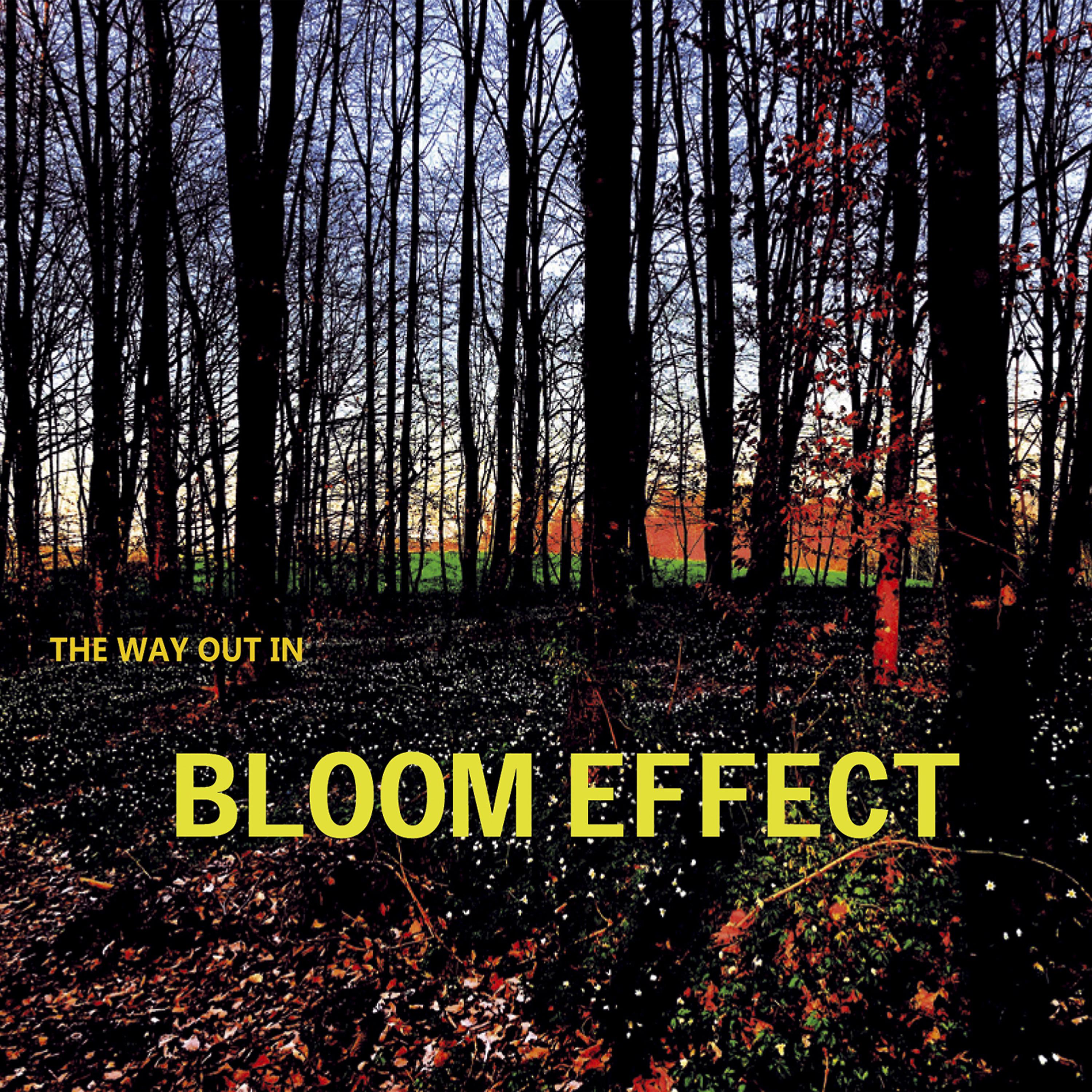 Постер альбома Bloom Effect