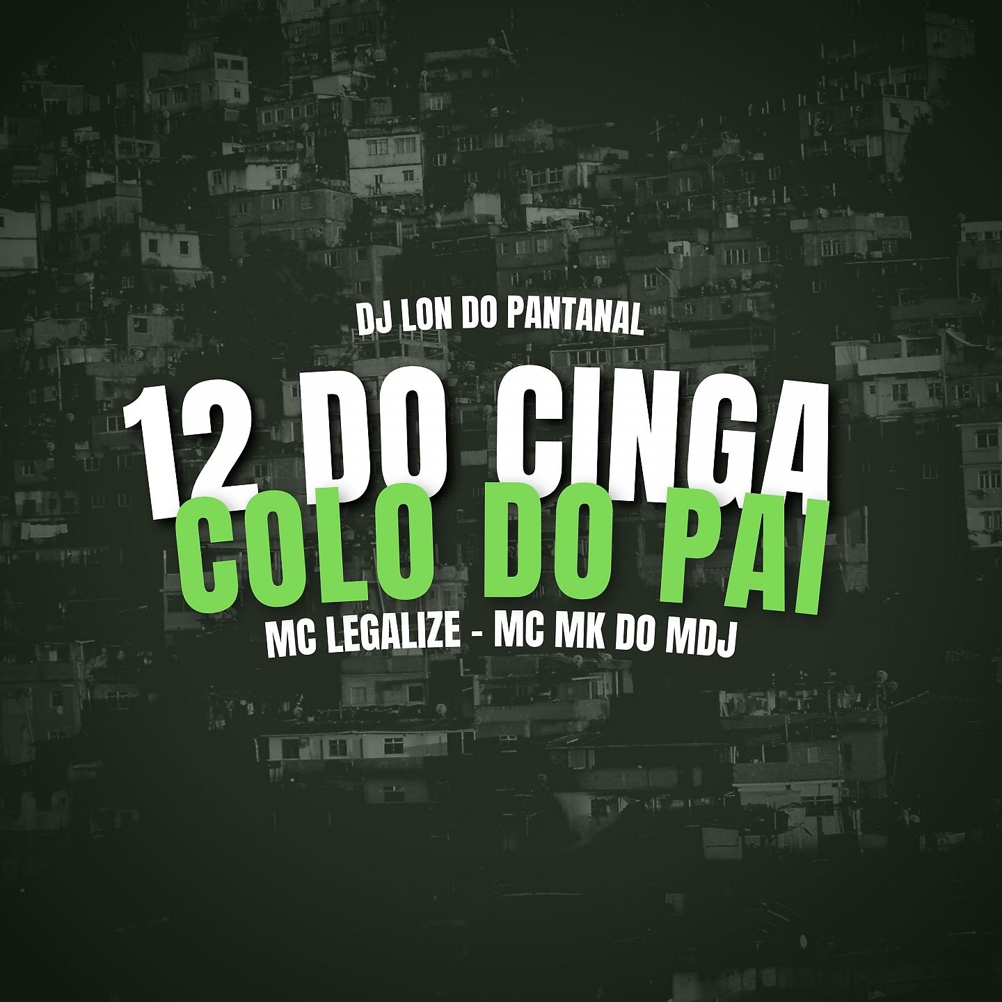 Постер альбома 12 Do Cinga Colo Do Pai