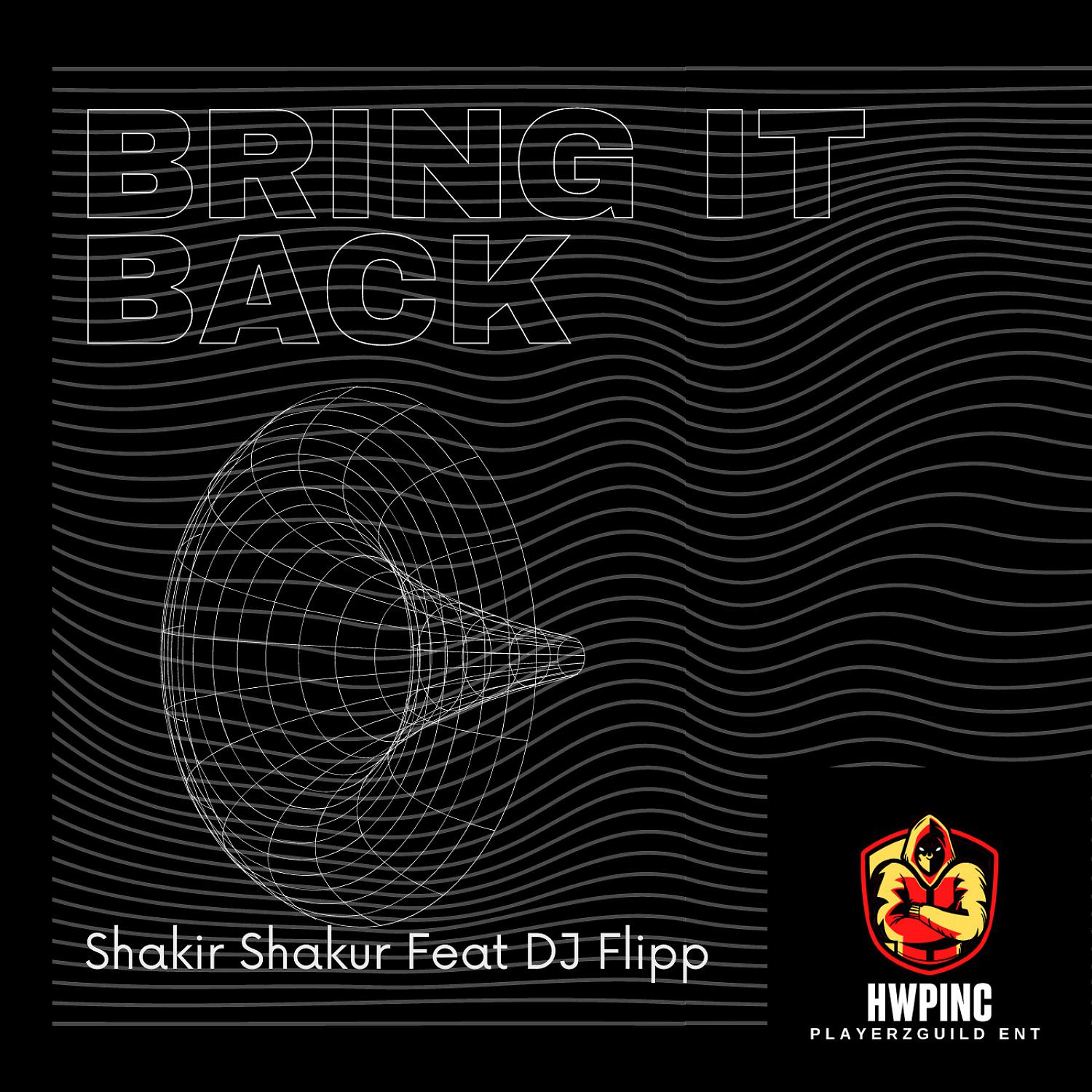 Постер альбома Bring It Back (feat. DJ Flipp 808 Kartel)