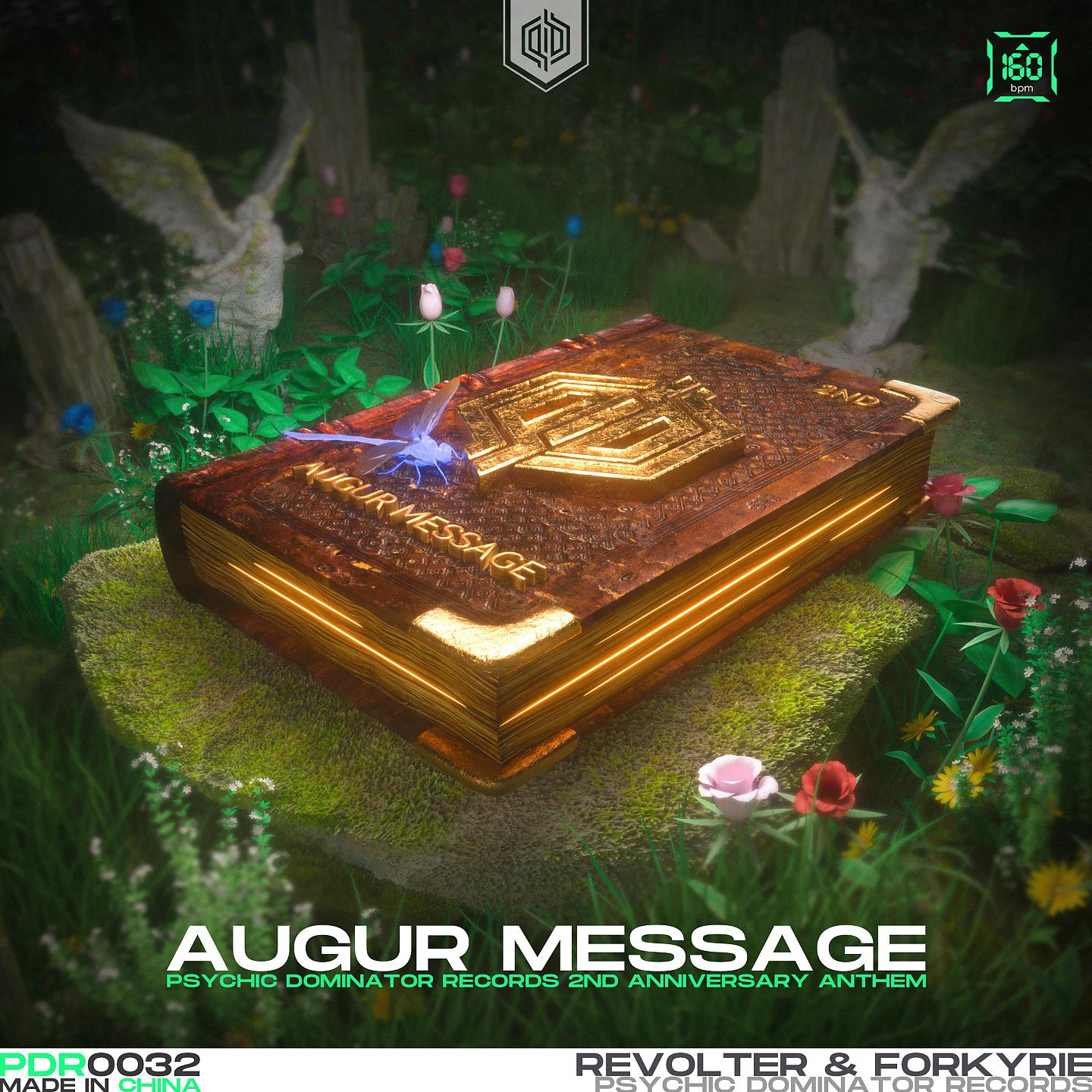 Постер альбома Augur Message