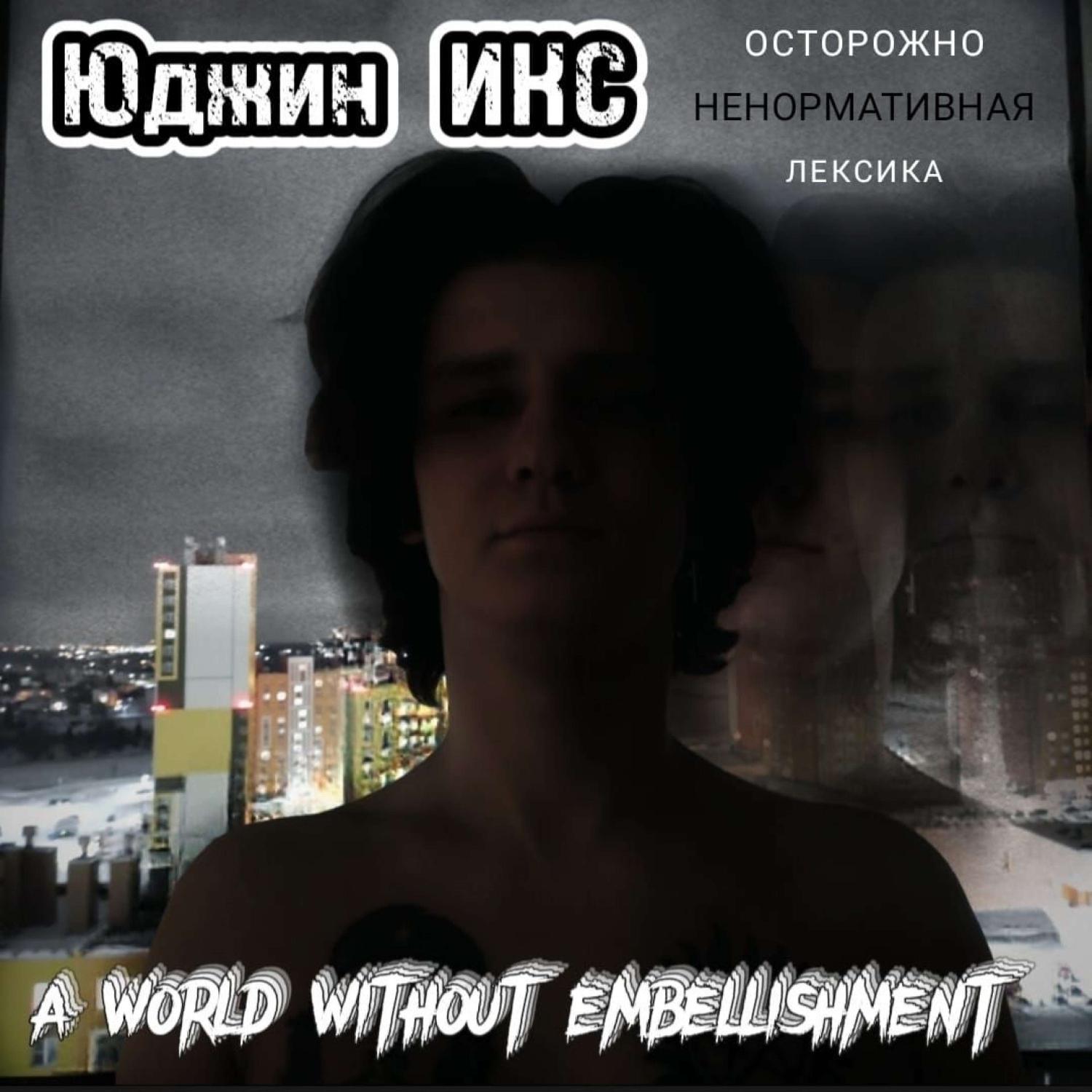 Постер альбома A world without embellishment