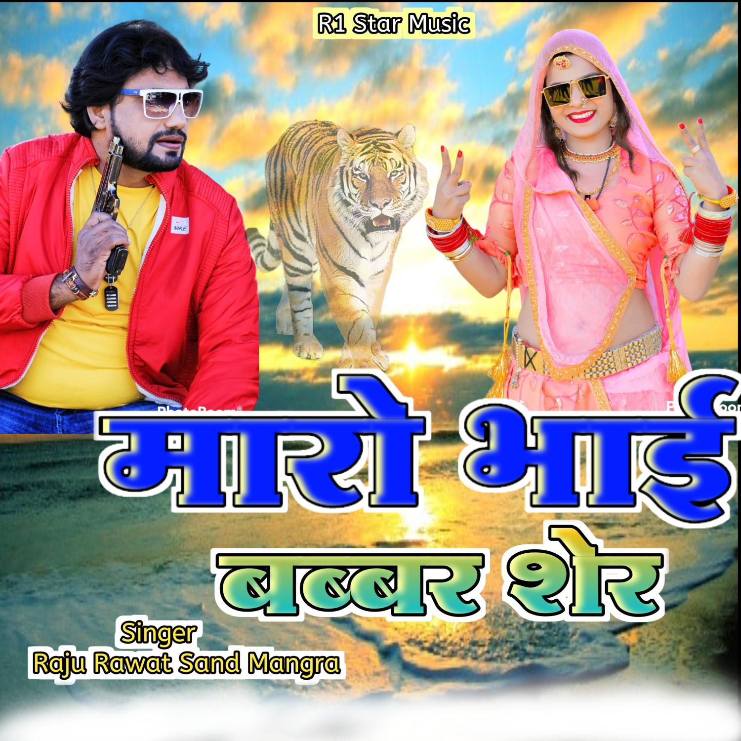 Постер альбома Maro Bhai Babbar Sher