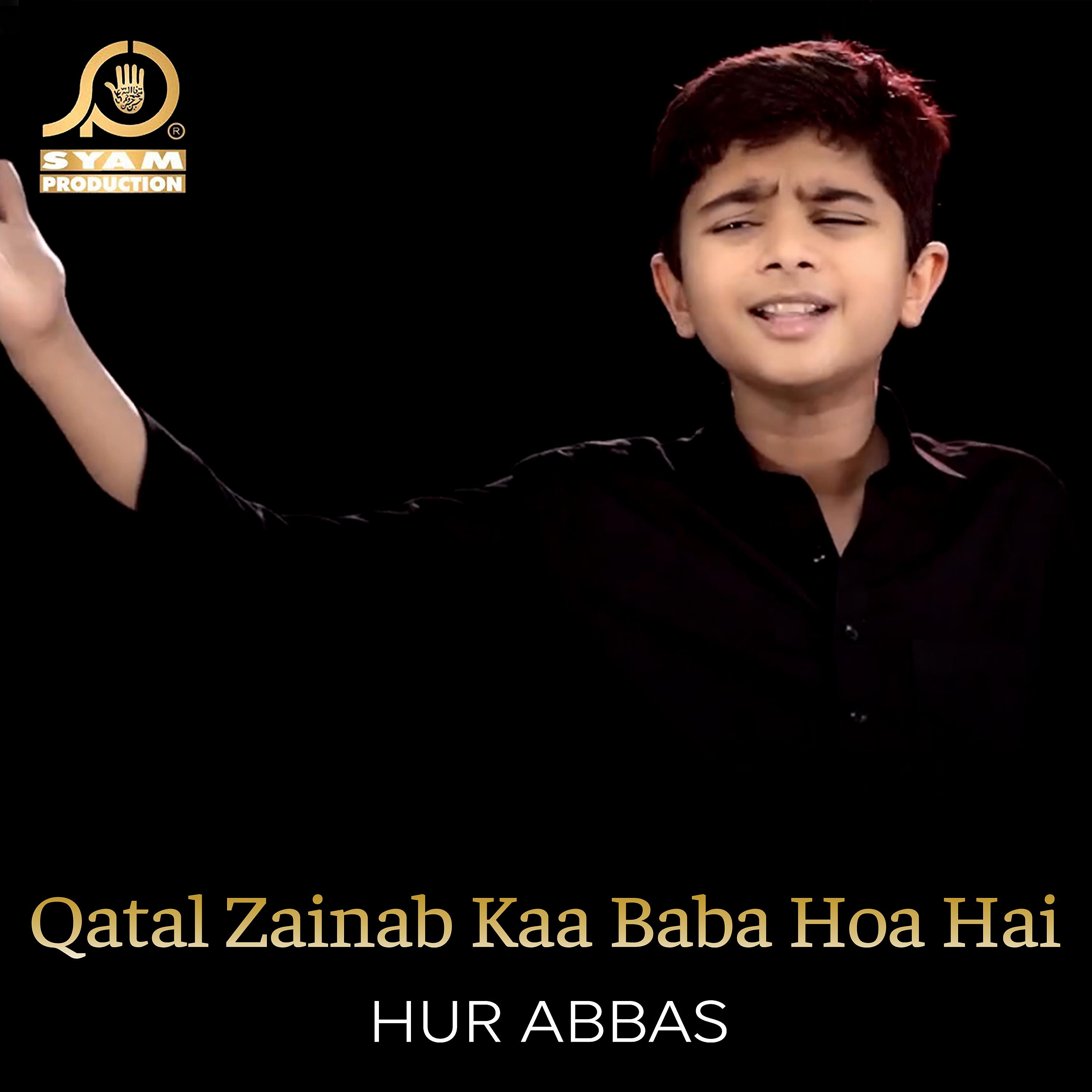 Постер альбома Qatal Zainab Kaa Baba Hoa Hai - Single