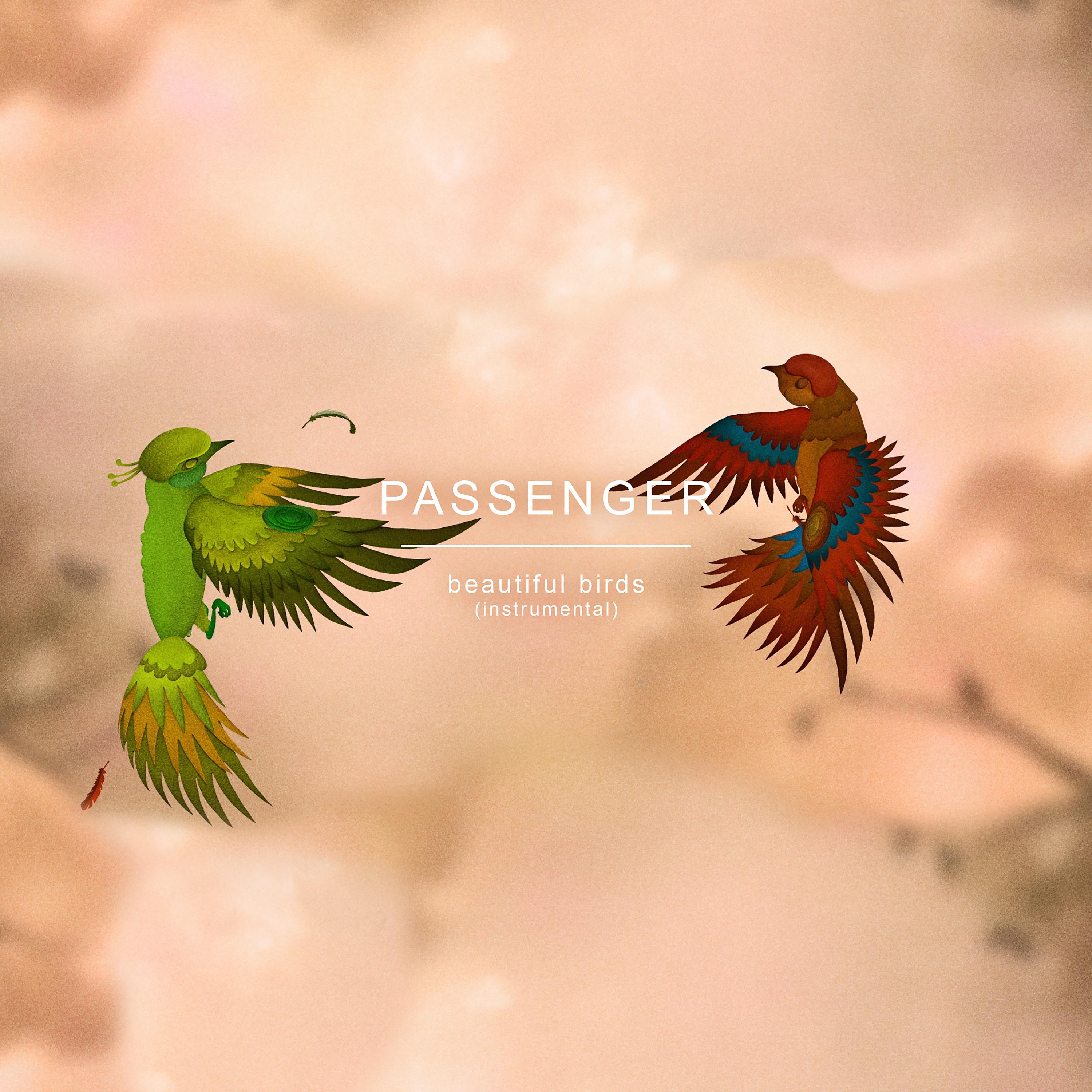 Постер альбома Beautiful Birds (Instrumental)