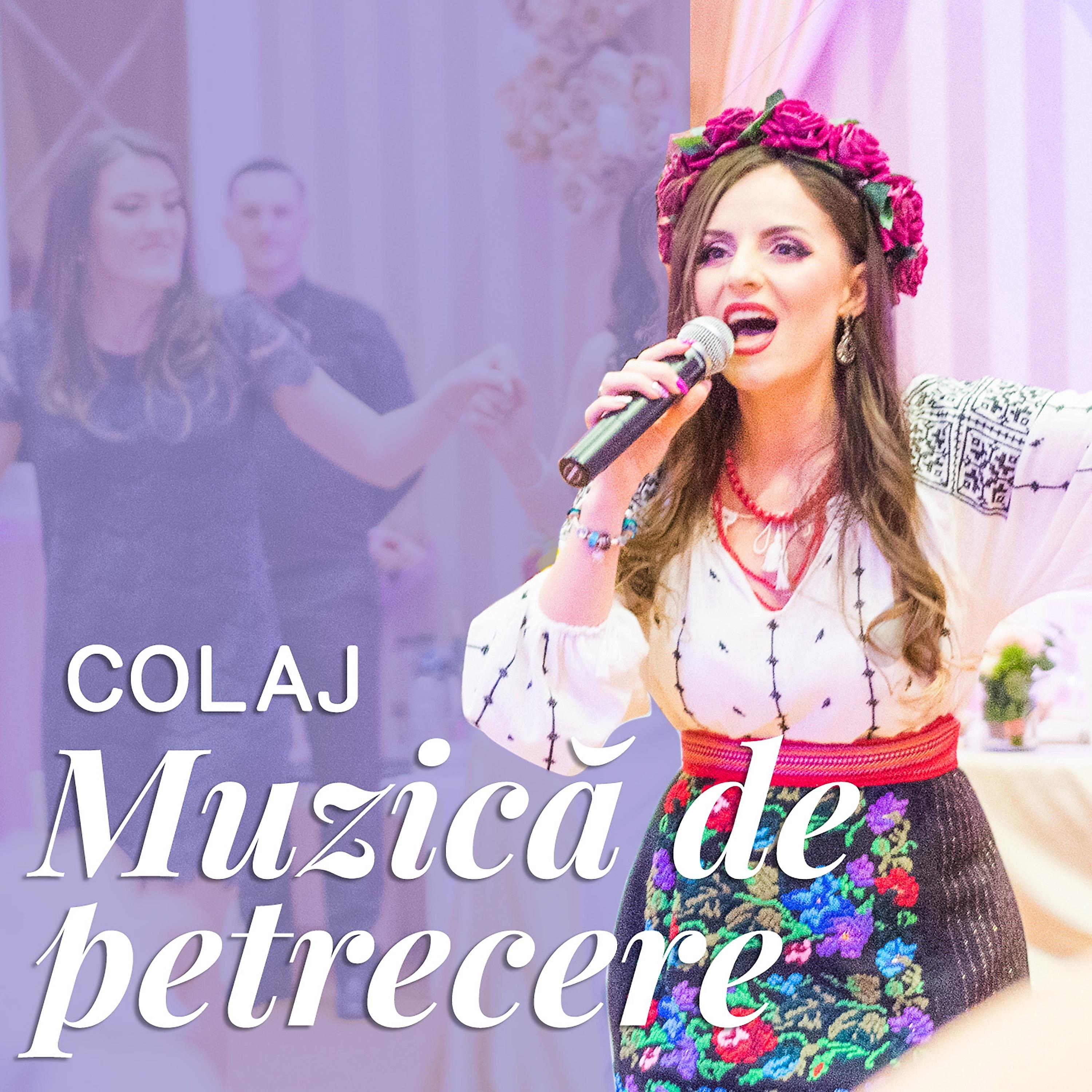 Постер альбома Colaj muzica de petrecere