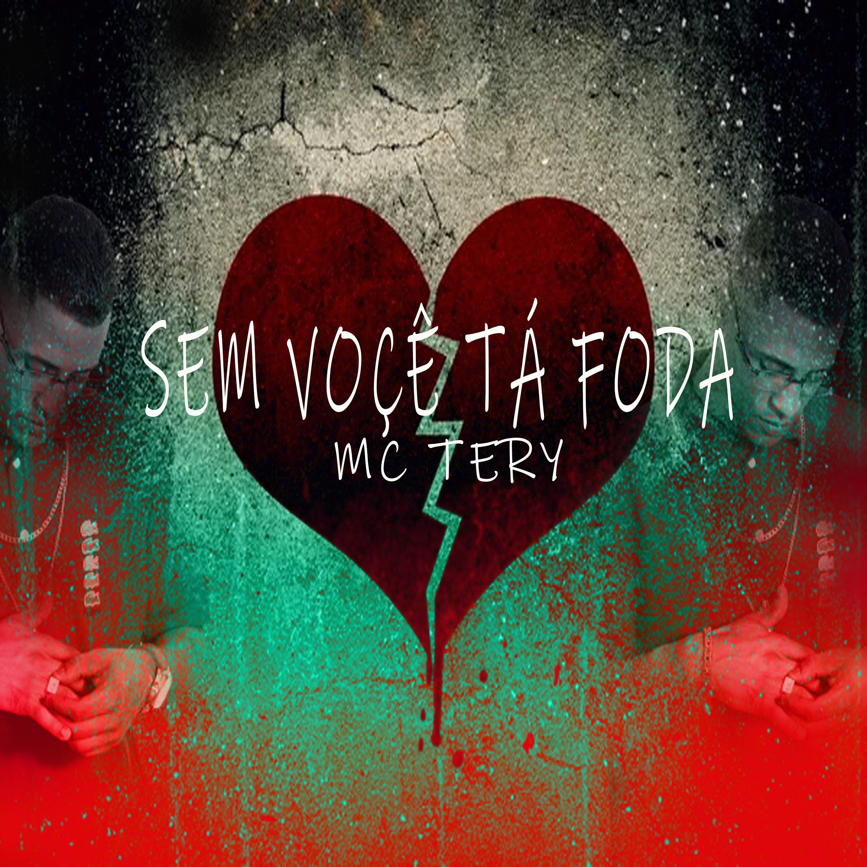 Постер альбома Sem Você Tá Foda