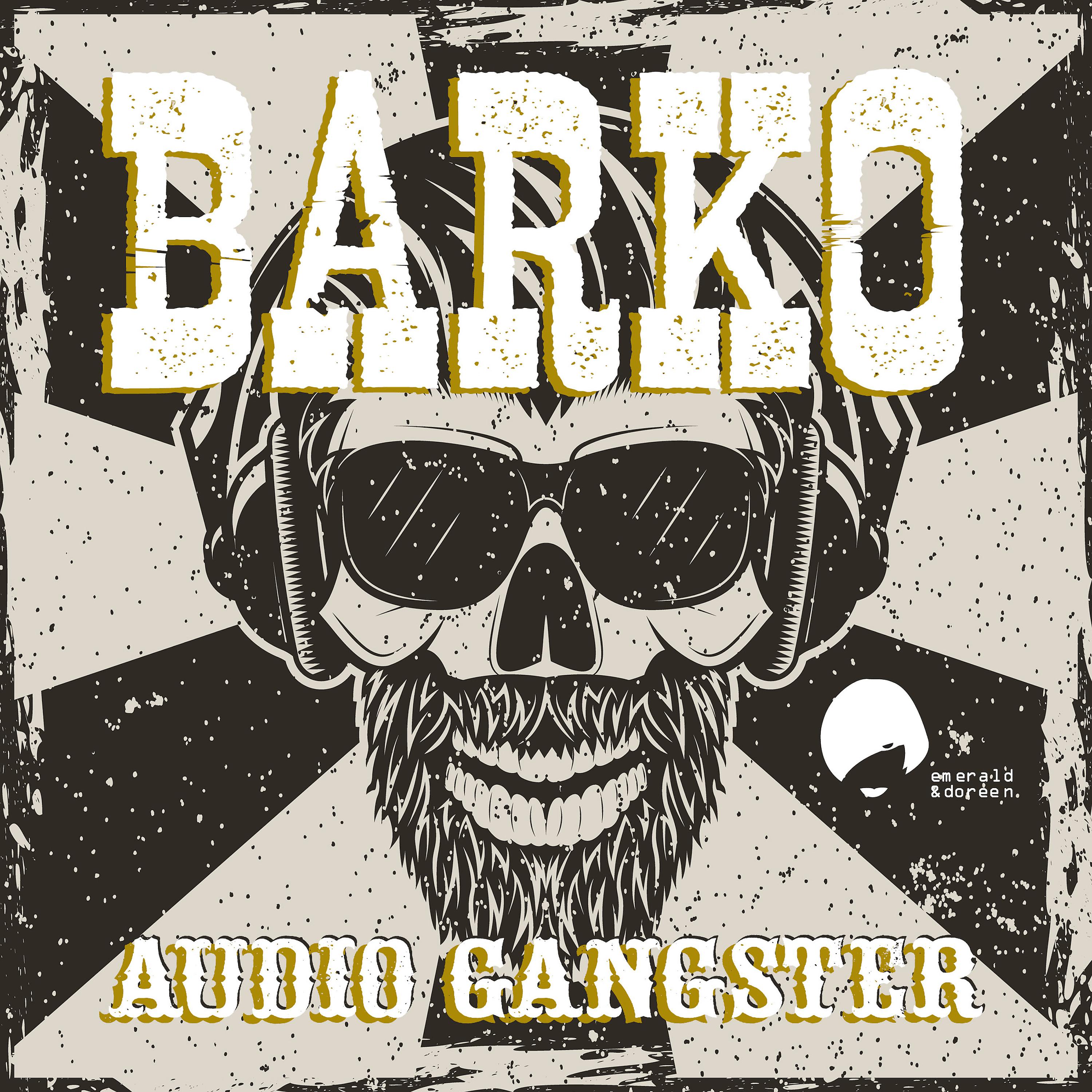 Постер альбома Audio Gangster