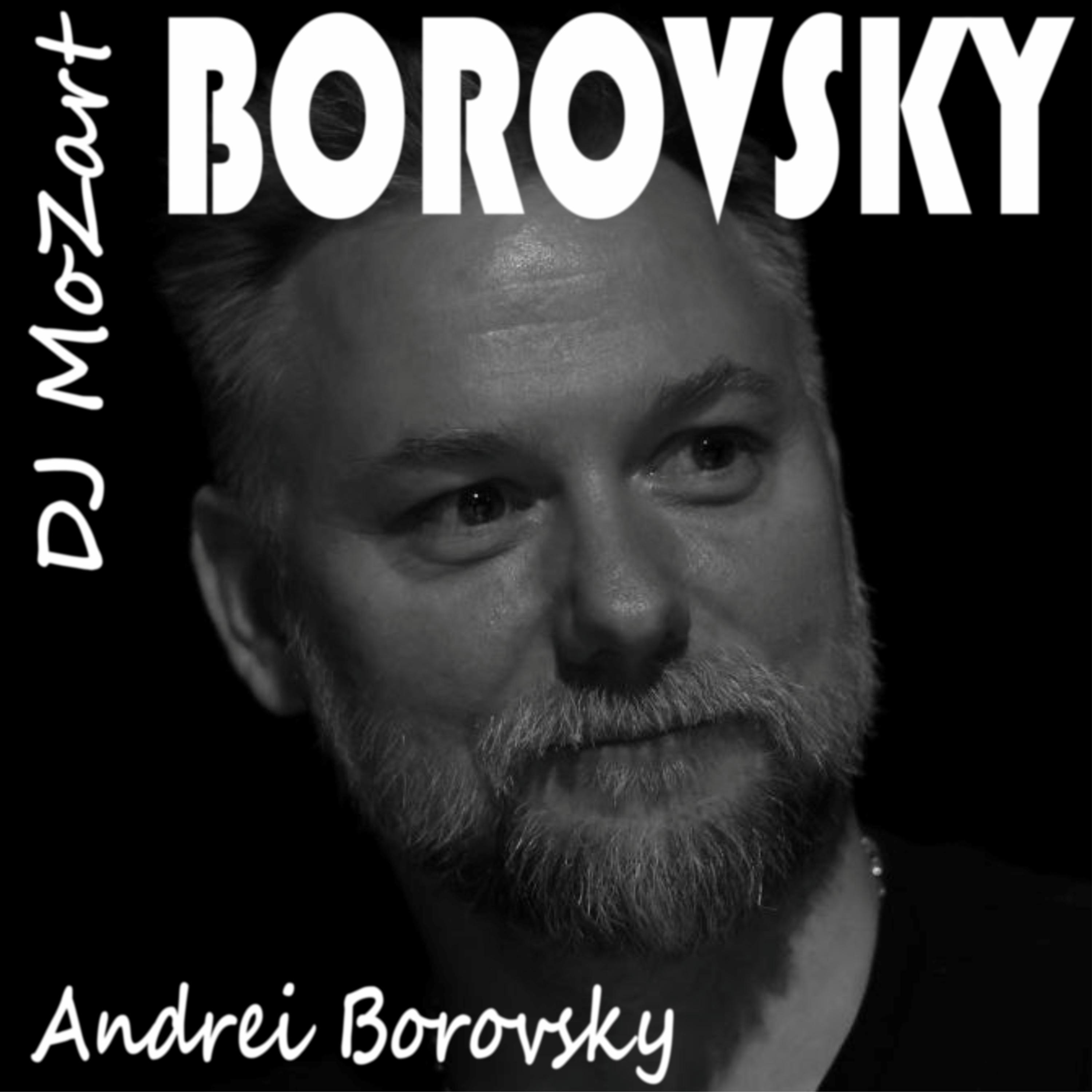 Постер альбома Borovsky