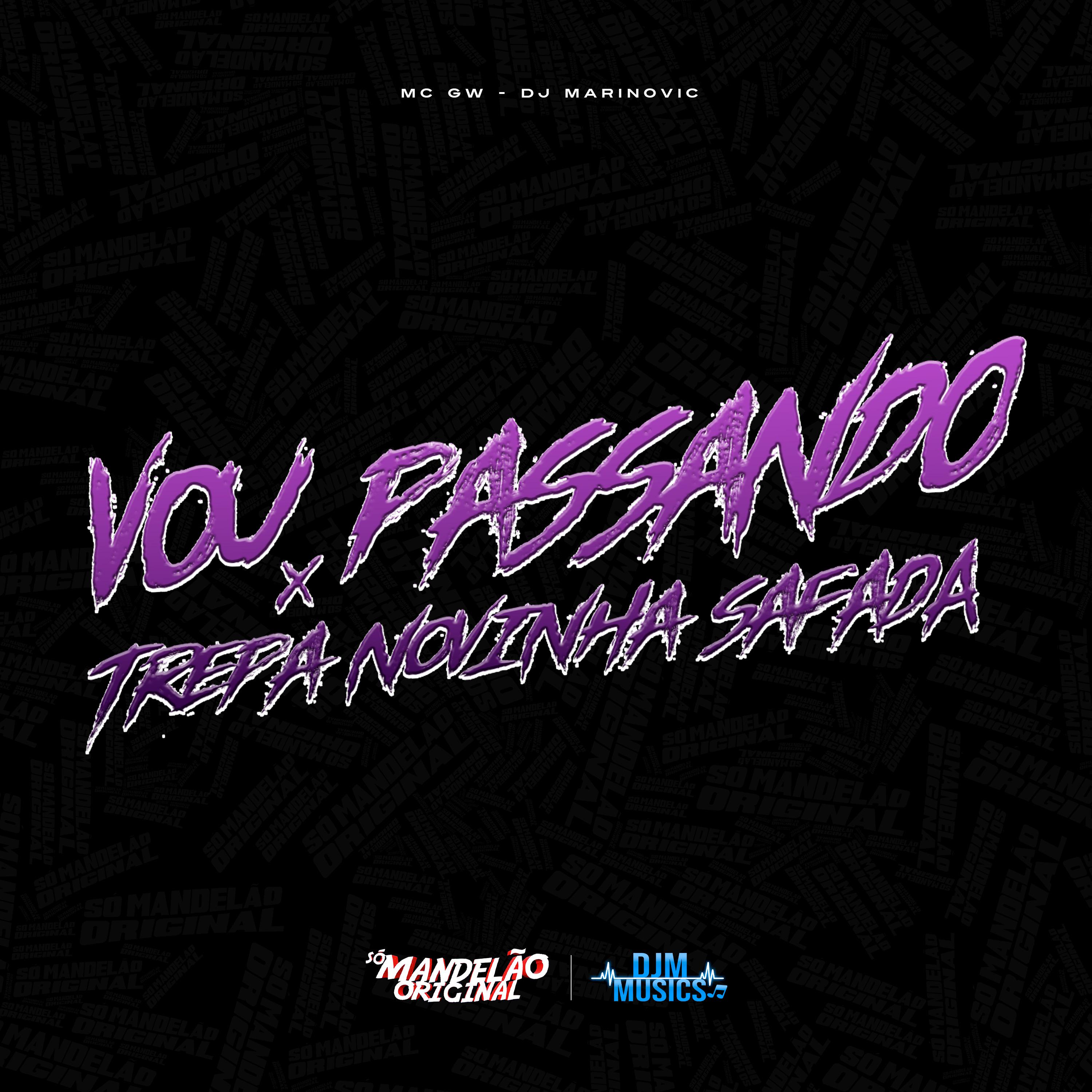 Постер альбома Vou Passando X Trepa Novinha Safada