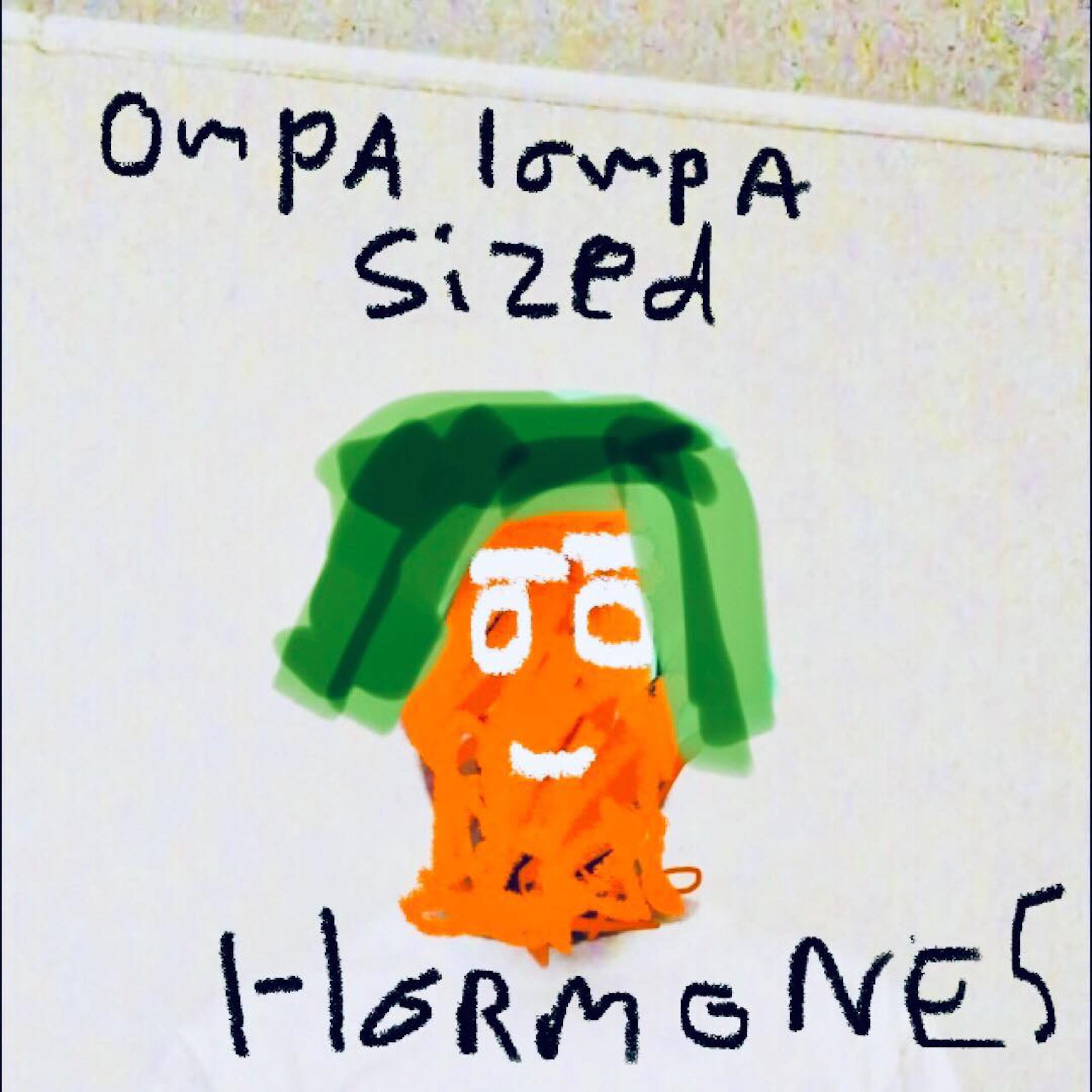 Постер альбома Ompa Lompa Sized Hormones