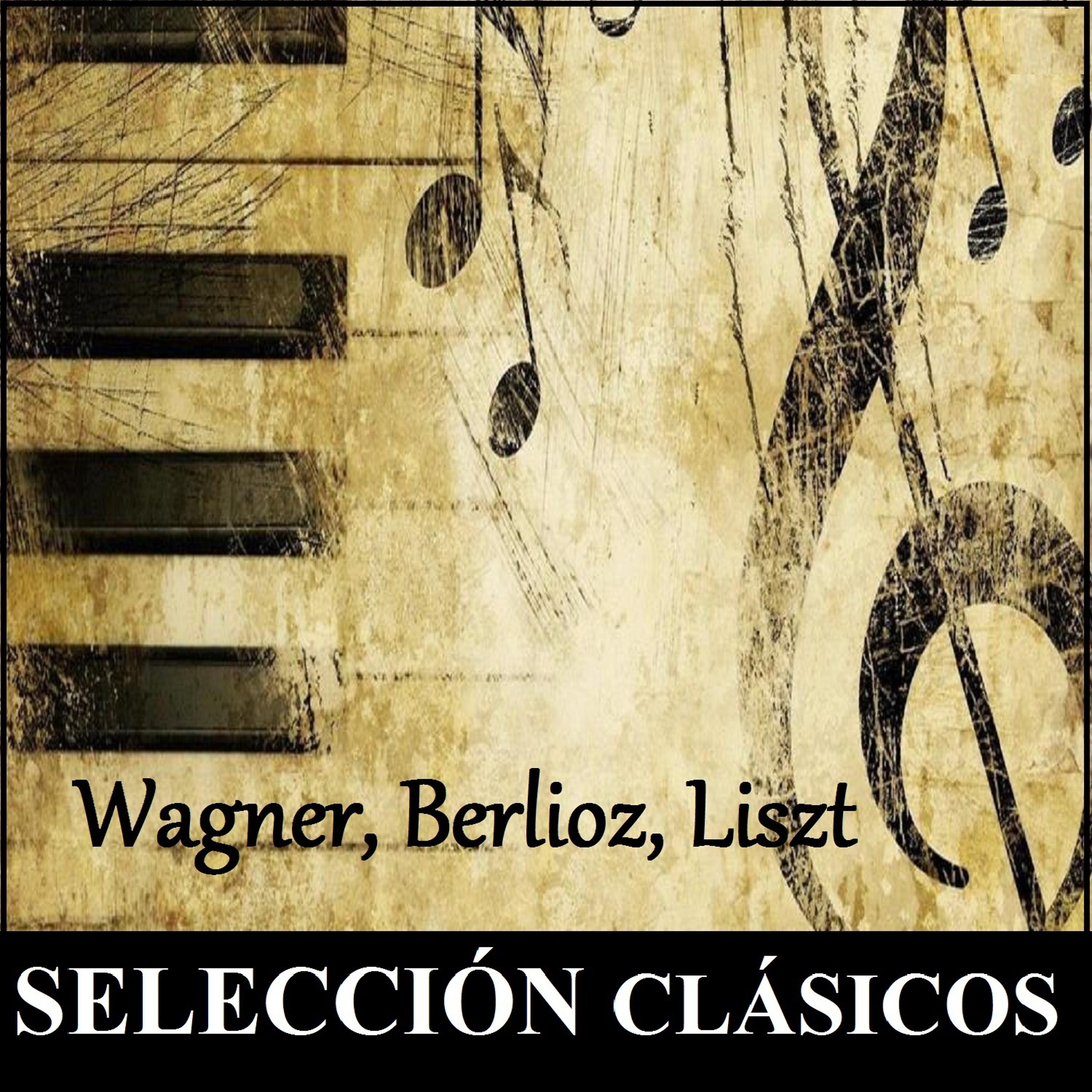 Постер альбома Selección Clásicos - Wagner, Berlioz, Liszt