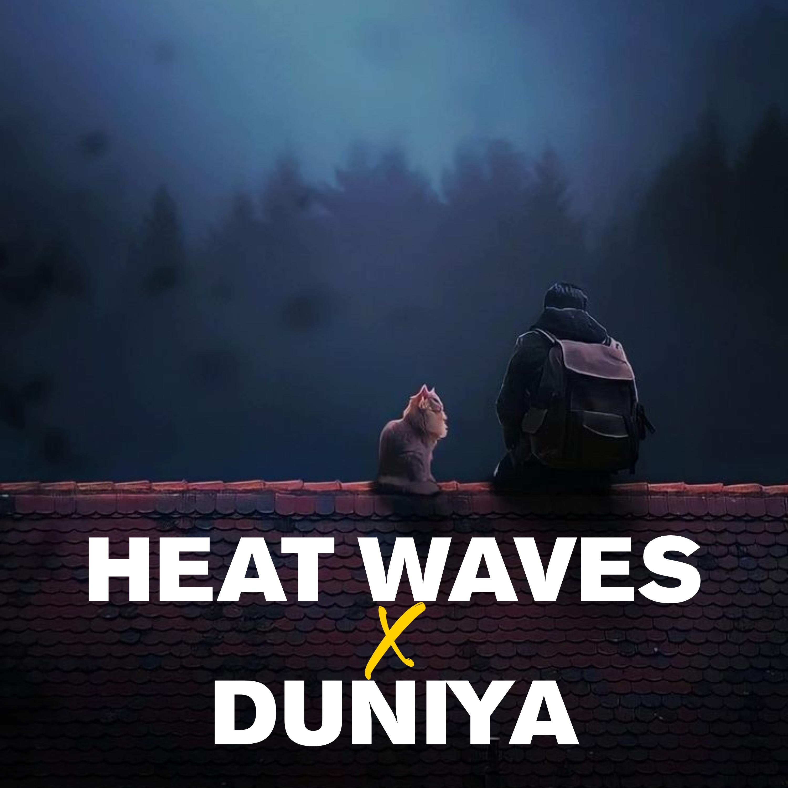 Постер альбома Heat Waves X Duniya