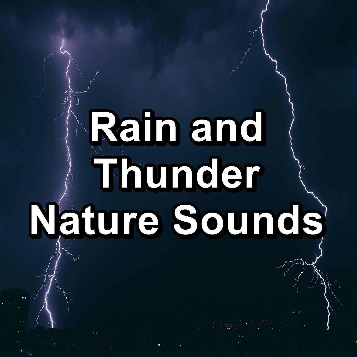 Постер альбома Rain and Thunder Nature Sounds