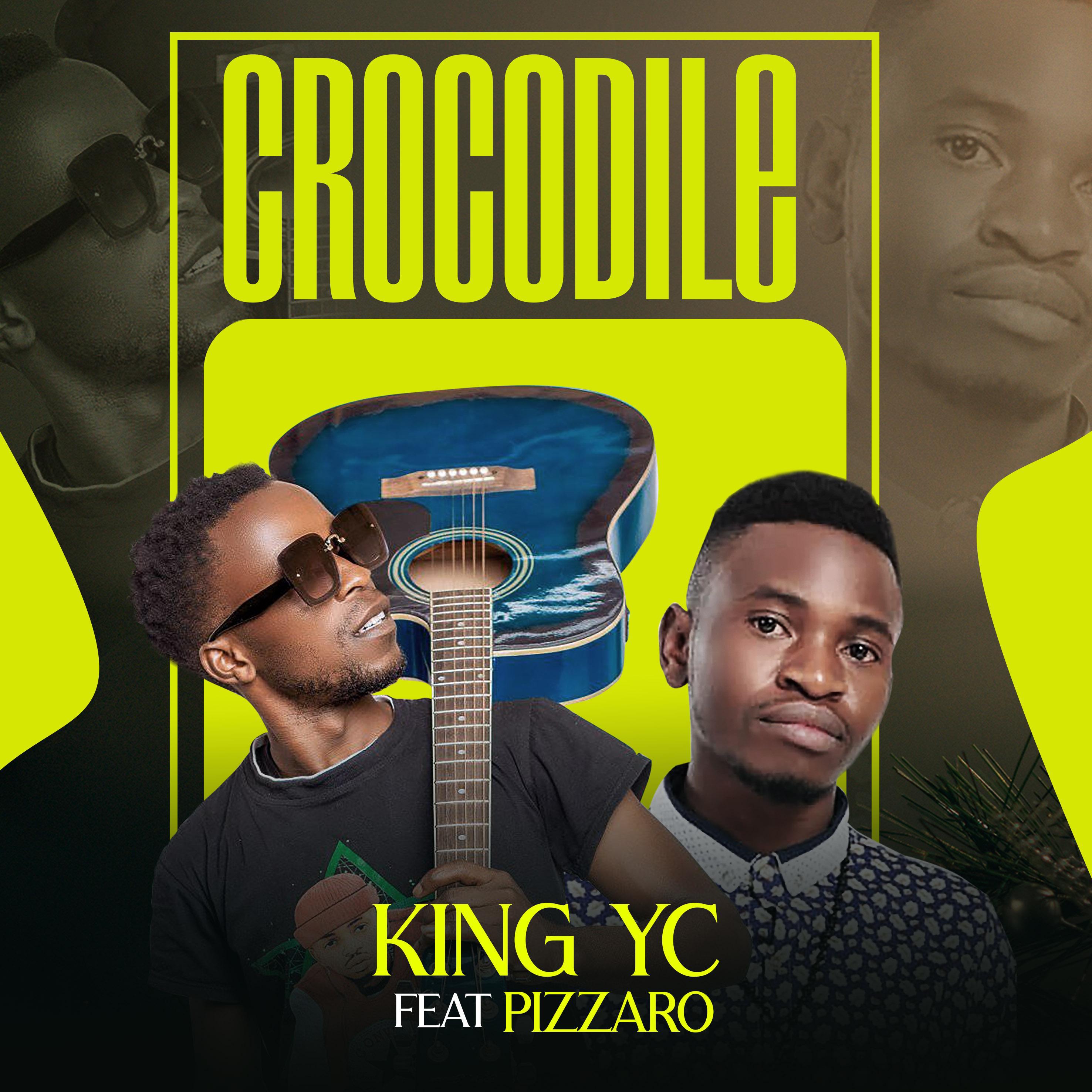 Постер альбома Crocodile (feat. Pizzaro)