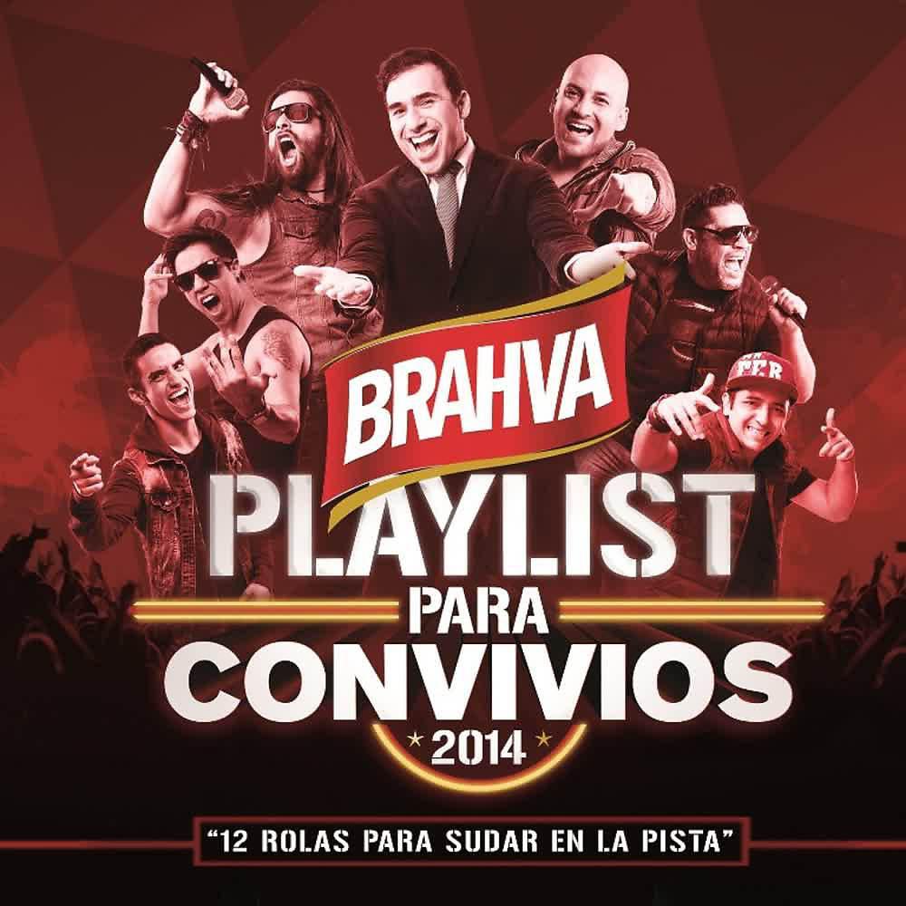 Постер альбома Playlist para Convivios 2014