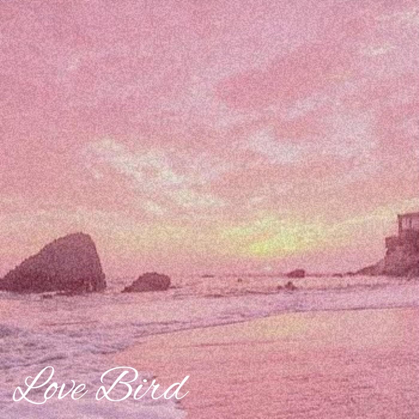 Постер альбома Love Bird