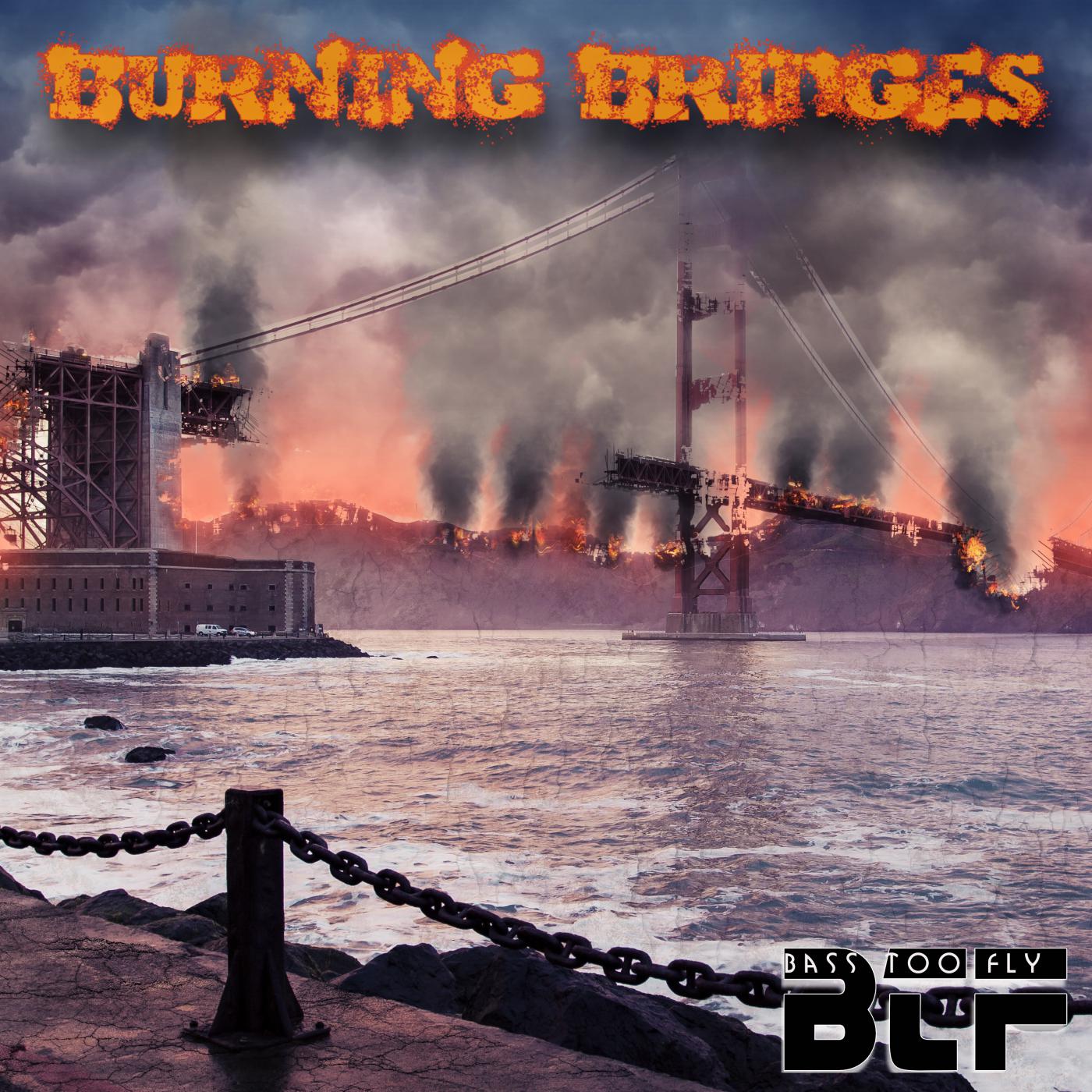 Постер альбома Burning bridges