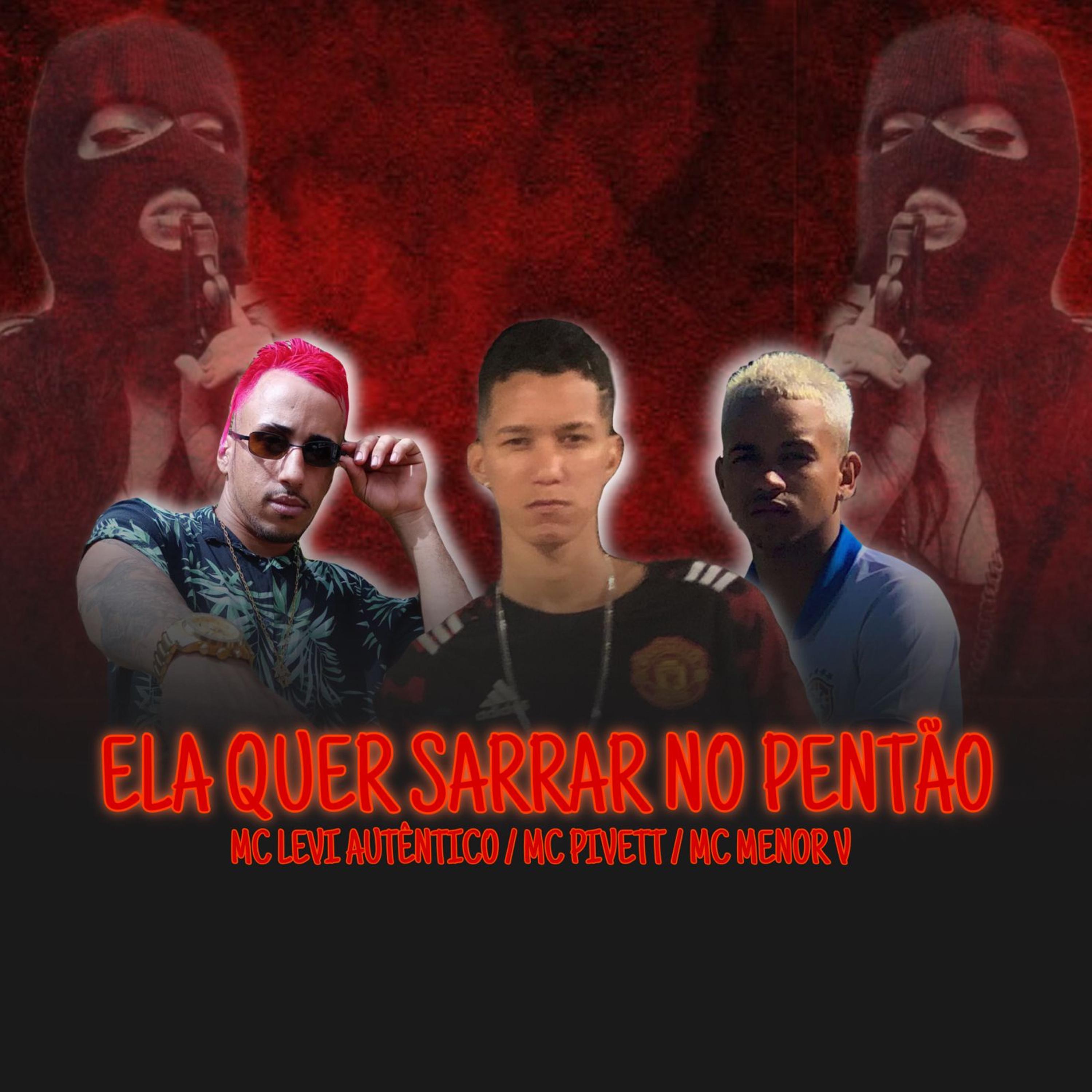 Постер альбома Ela Quer Sarrar no Pentão