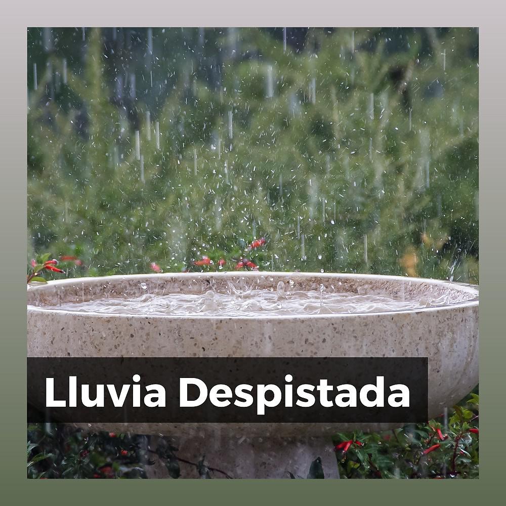 Постер альбома Lluvia Despistada