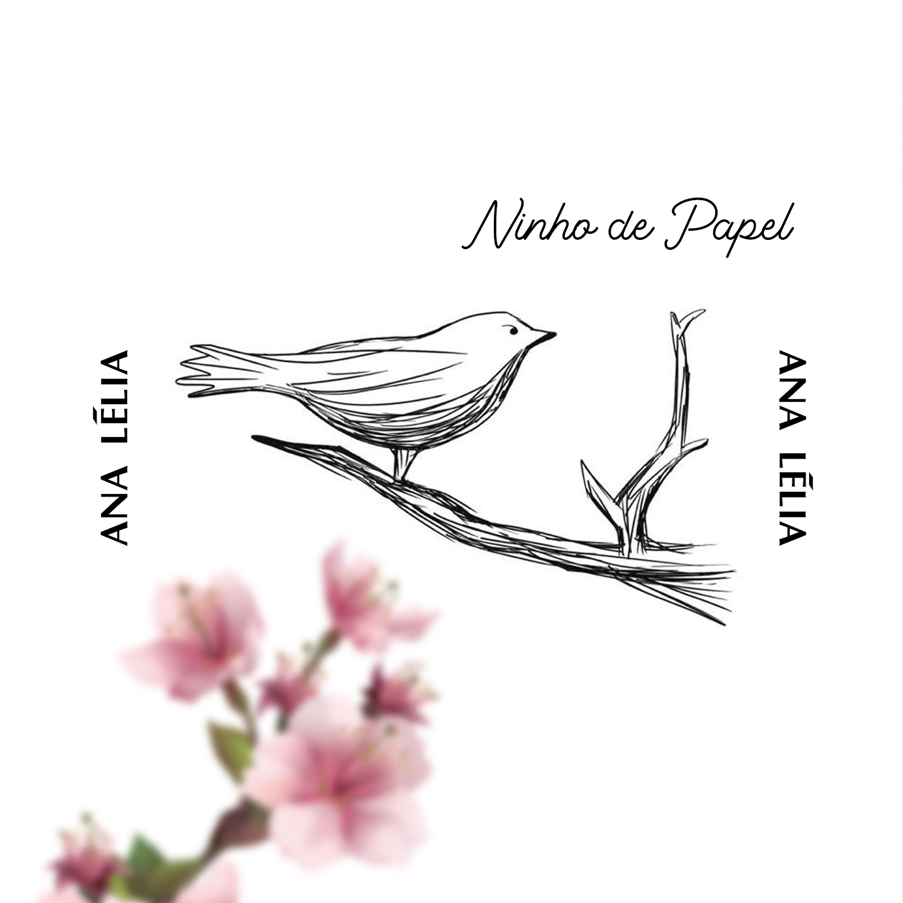 Постер альбома Ninho de Papel