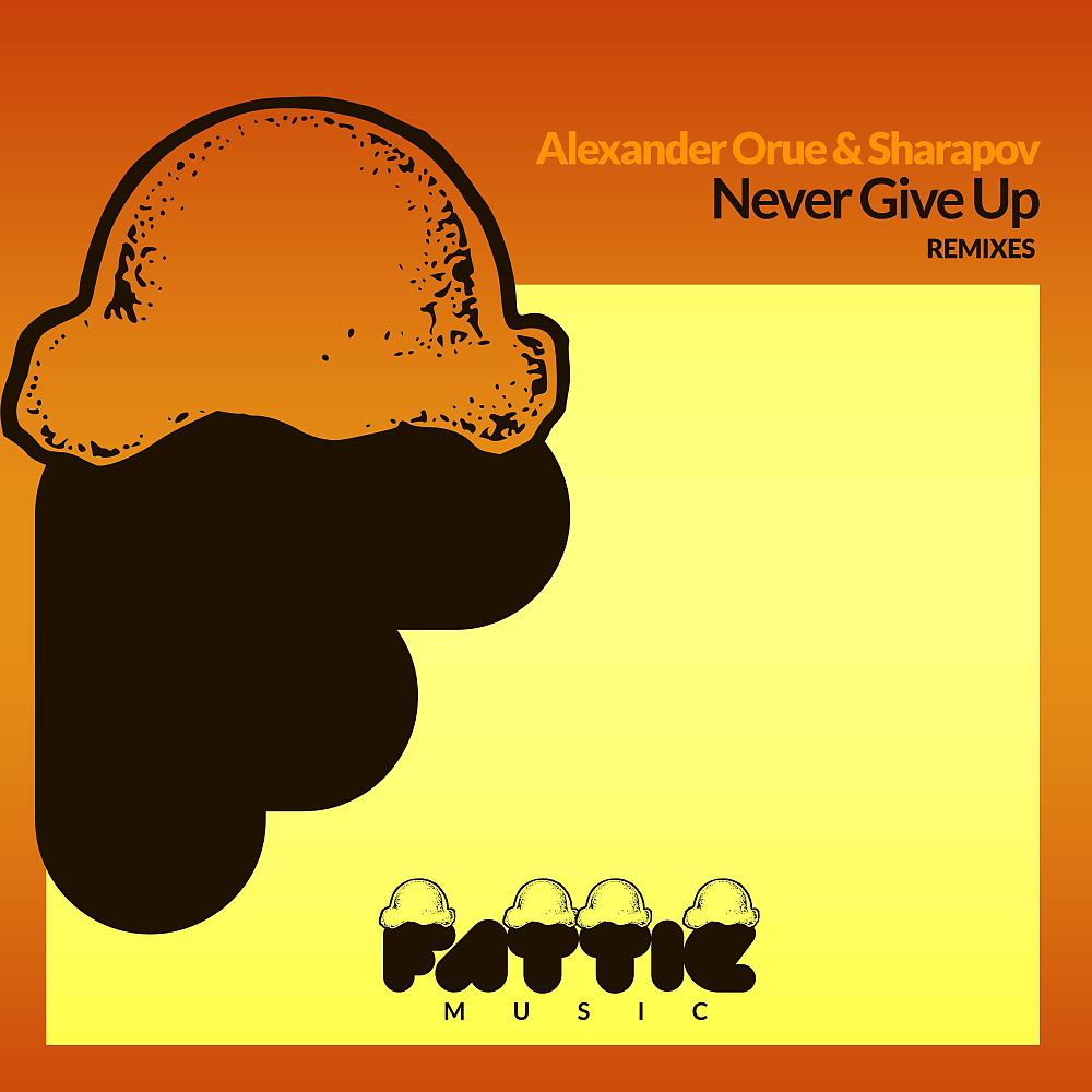 Постер альбома Never Give Up Remixes