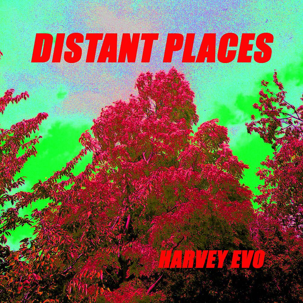 Постер альбома Distant Places