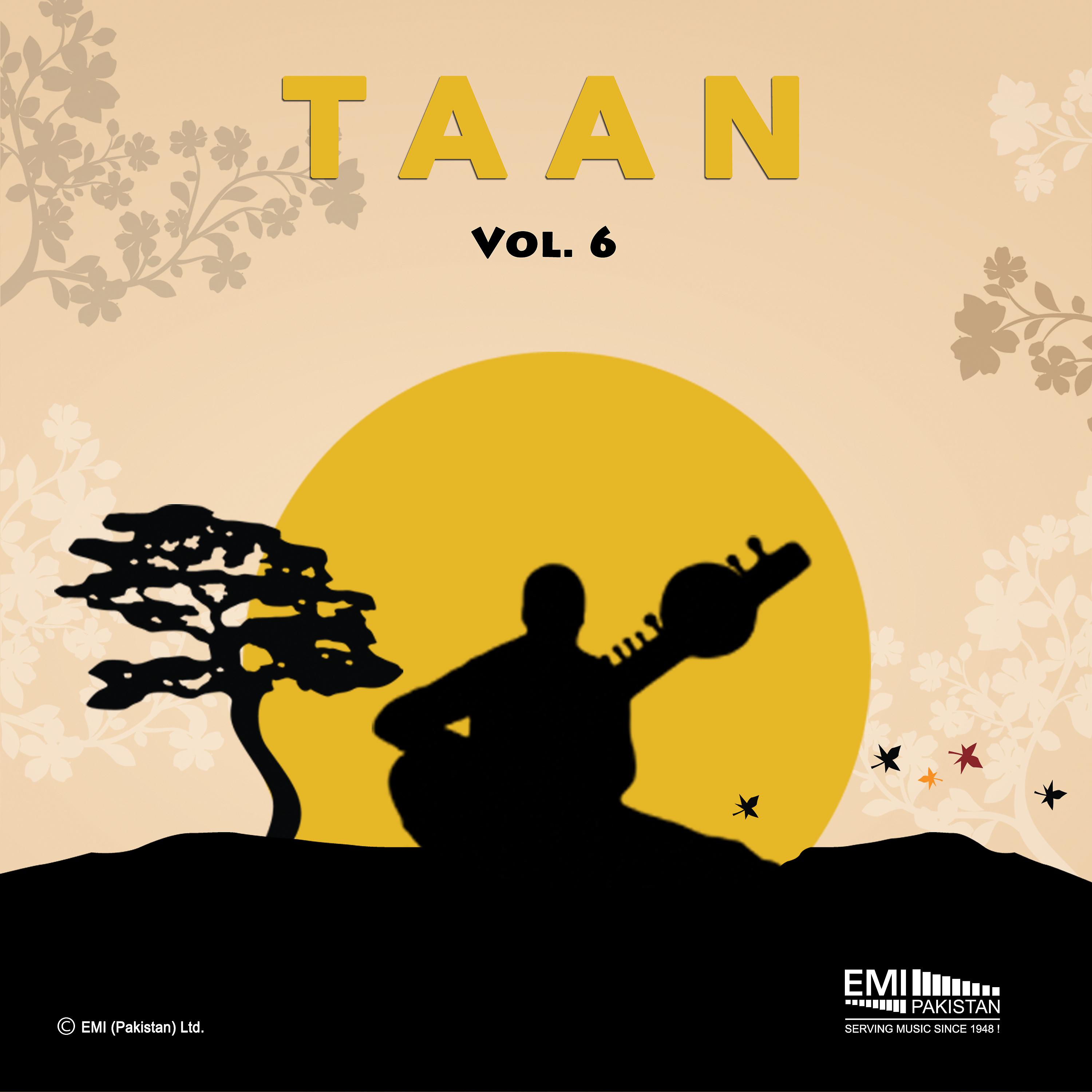 Постер альбома Taan, Vol. 6