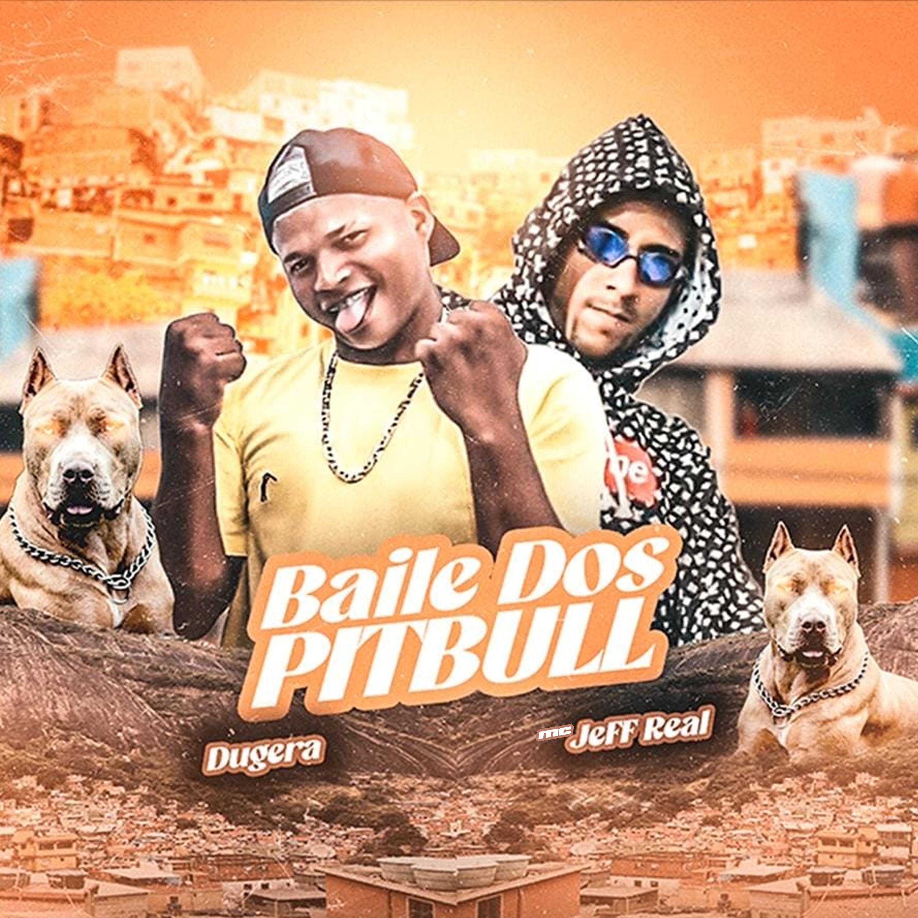 Постер альбома Baile dos Pitbull