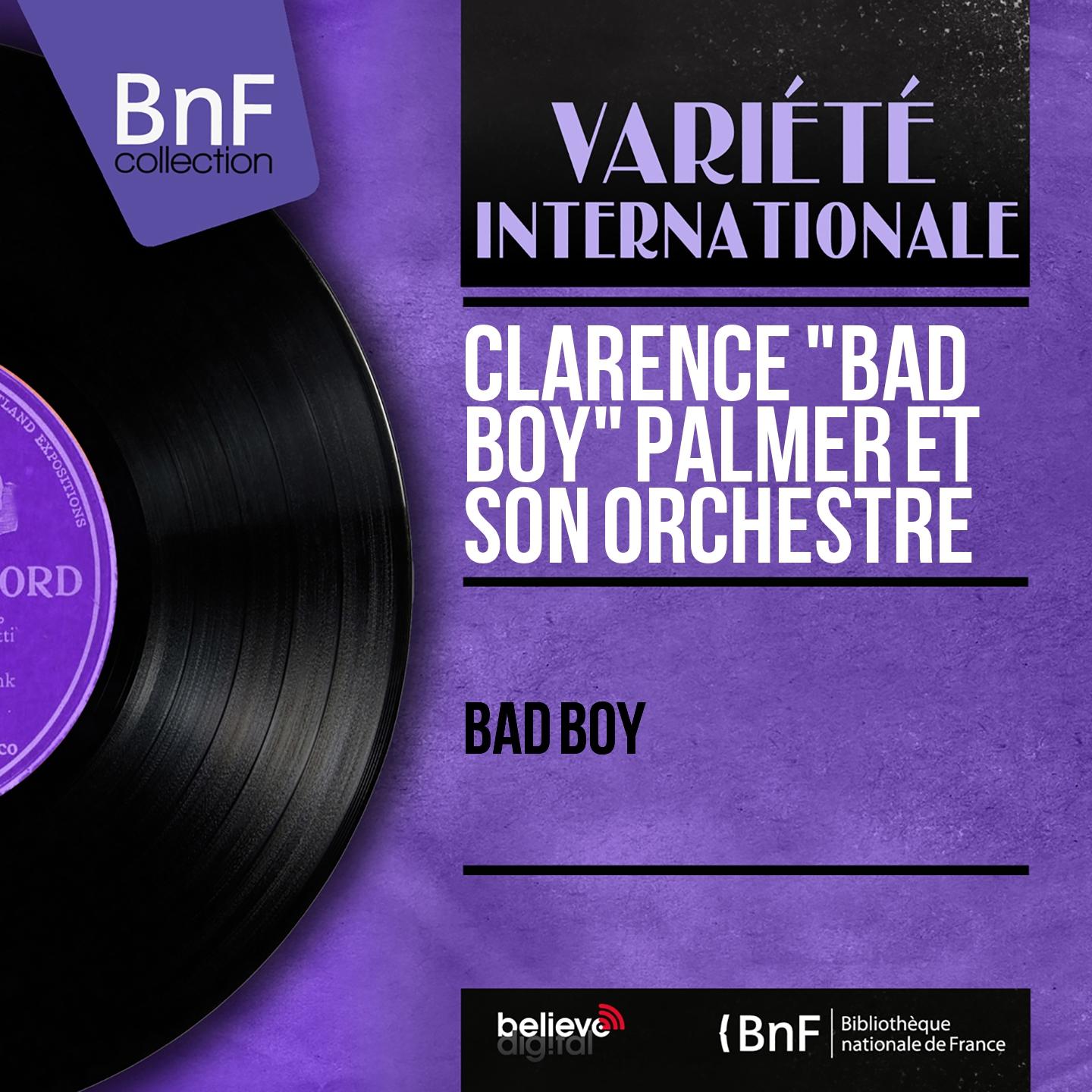 Постер альбома Bad Boy (Mono Version)