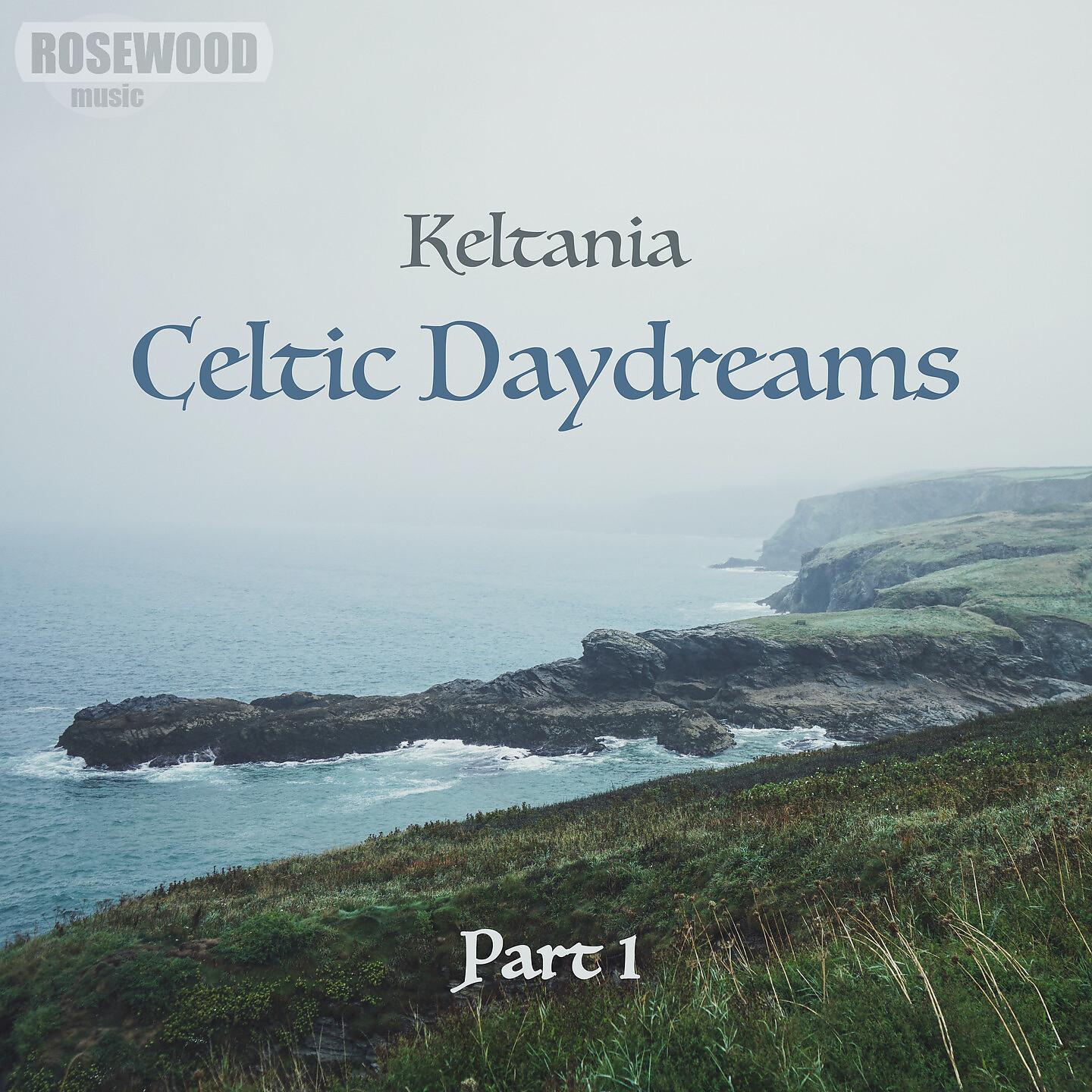 Постер альбома Celtic Daydreams