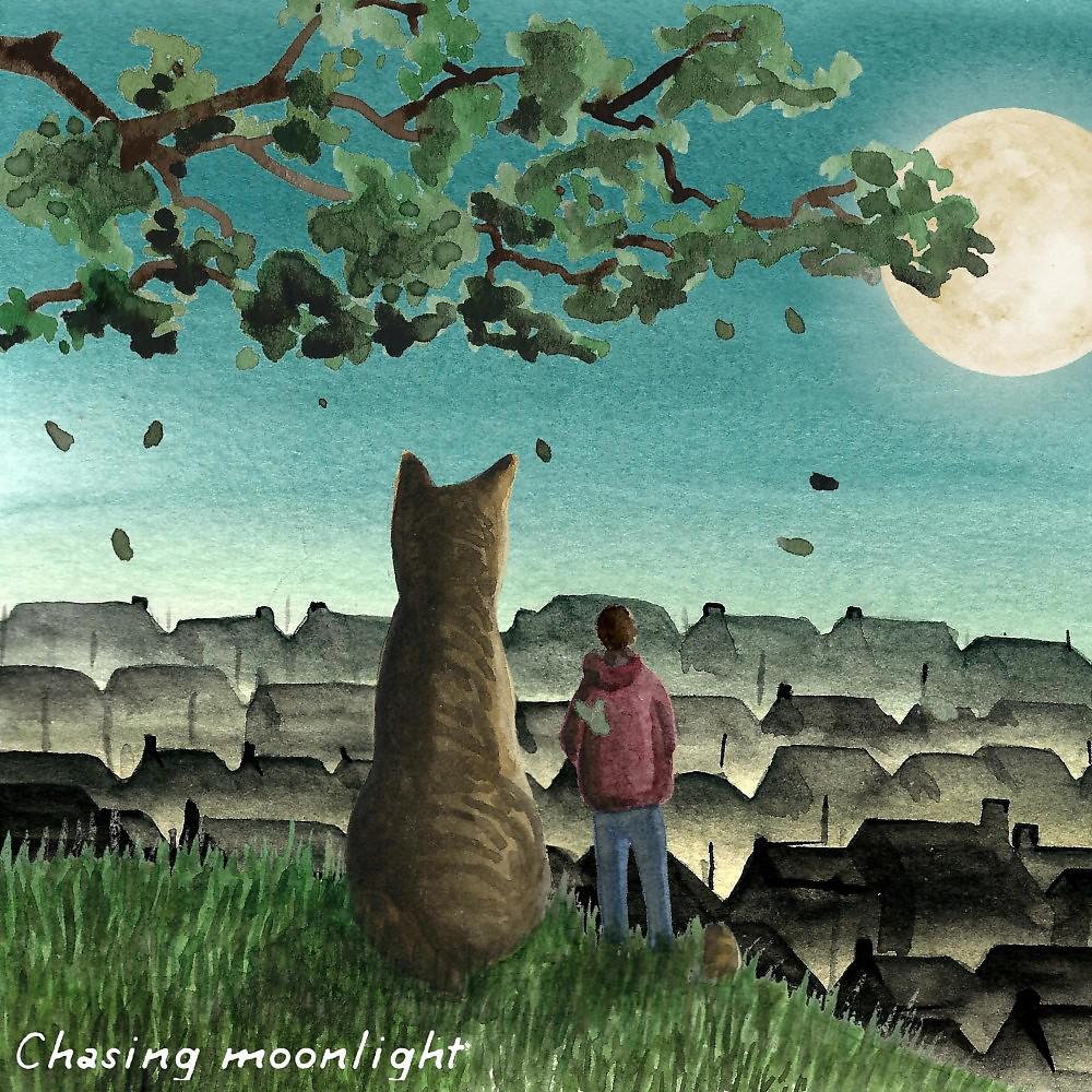 Постер альбома Chasing Moonlight