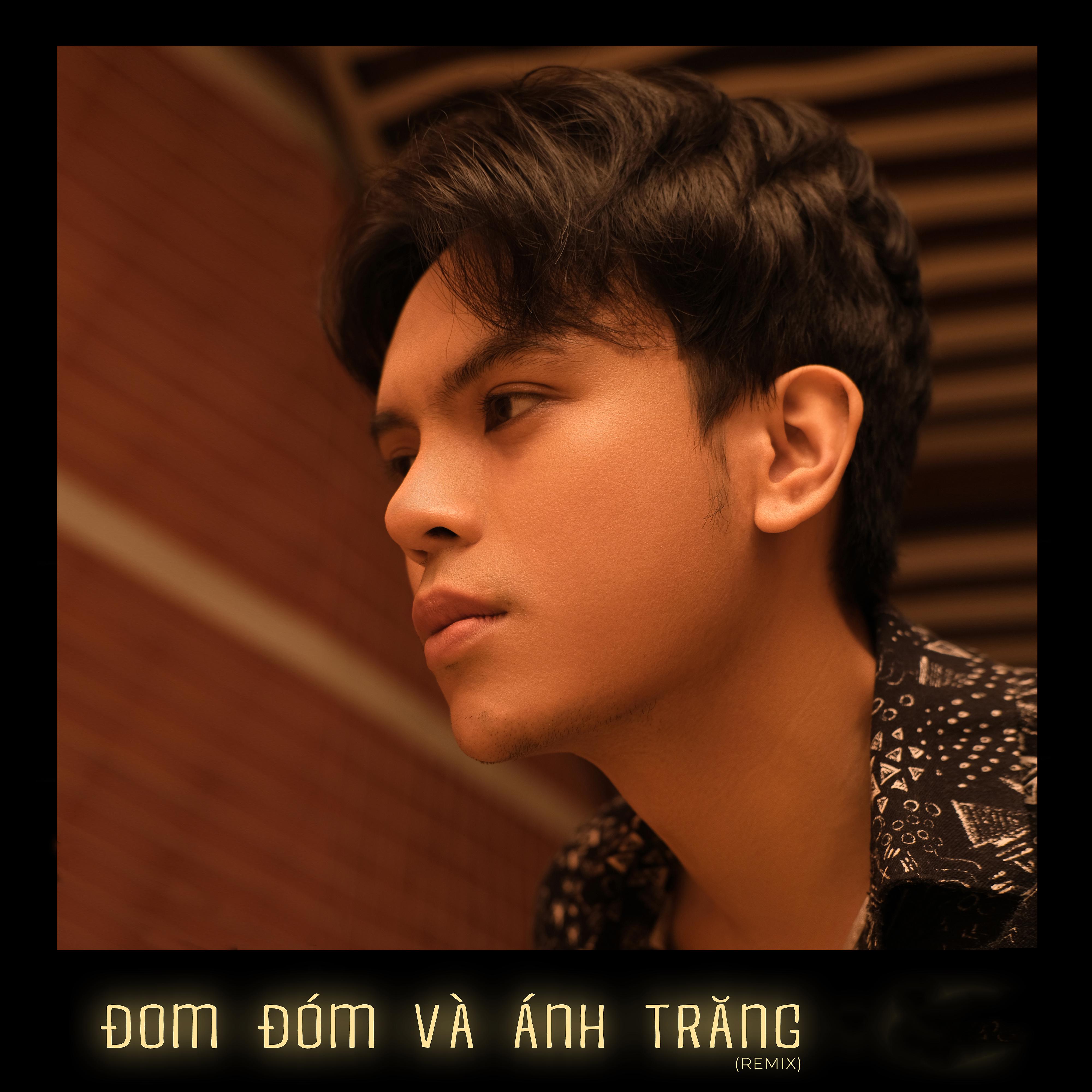 Постер альбома Đom Đóm Và Ánh Trăng (Remix) [feat. Mouse T]