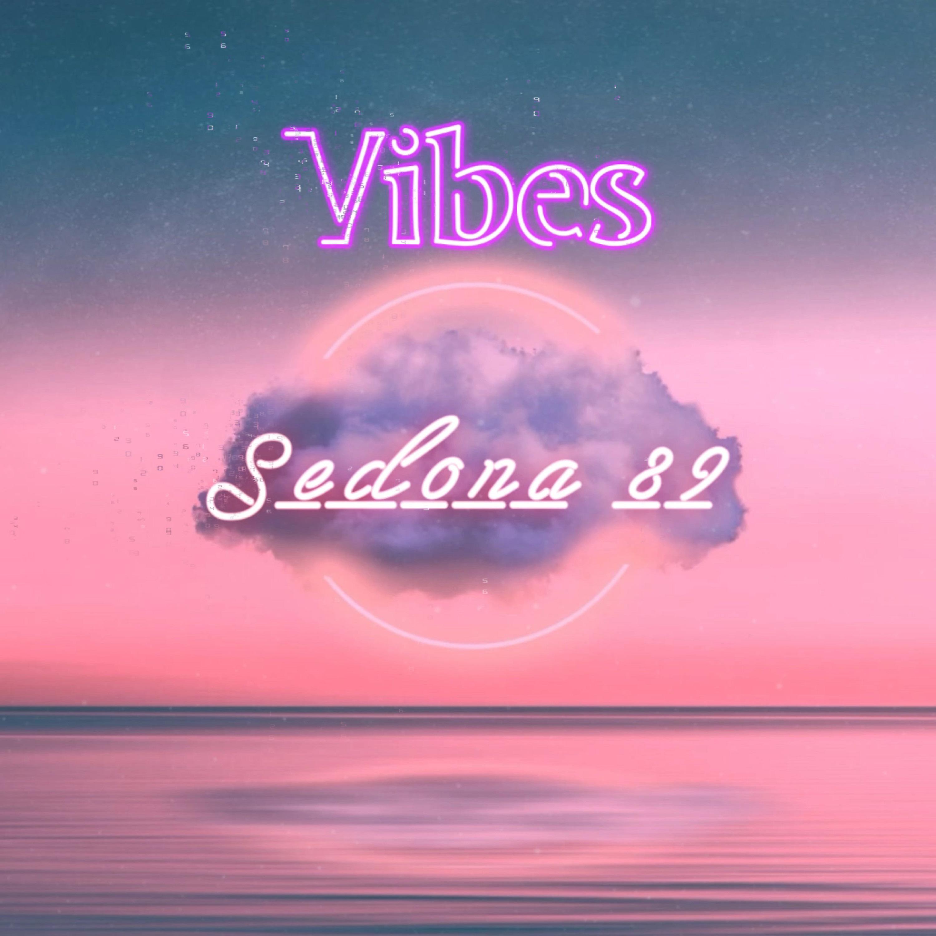 Постер альбома Vibes (Radio Edit)