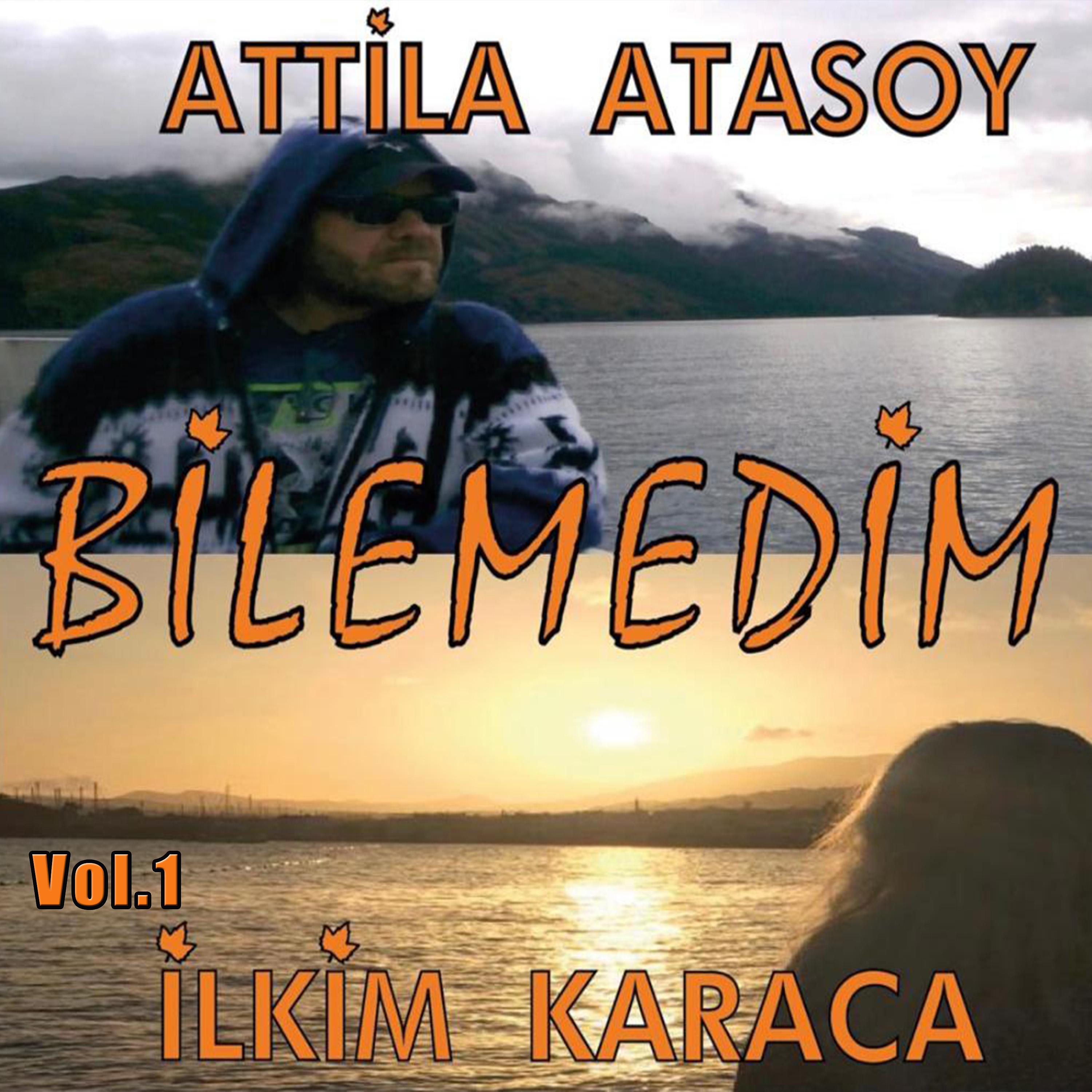 Постер альбома Bilemedim, Vol.1