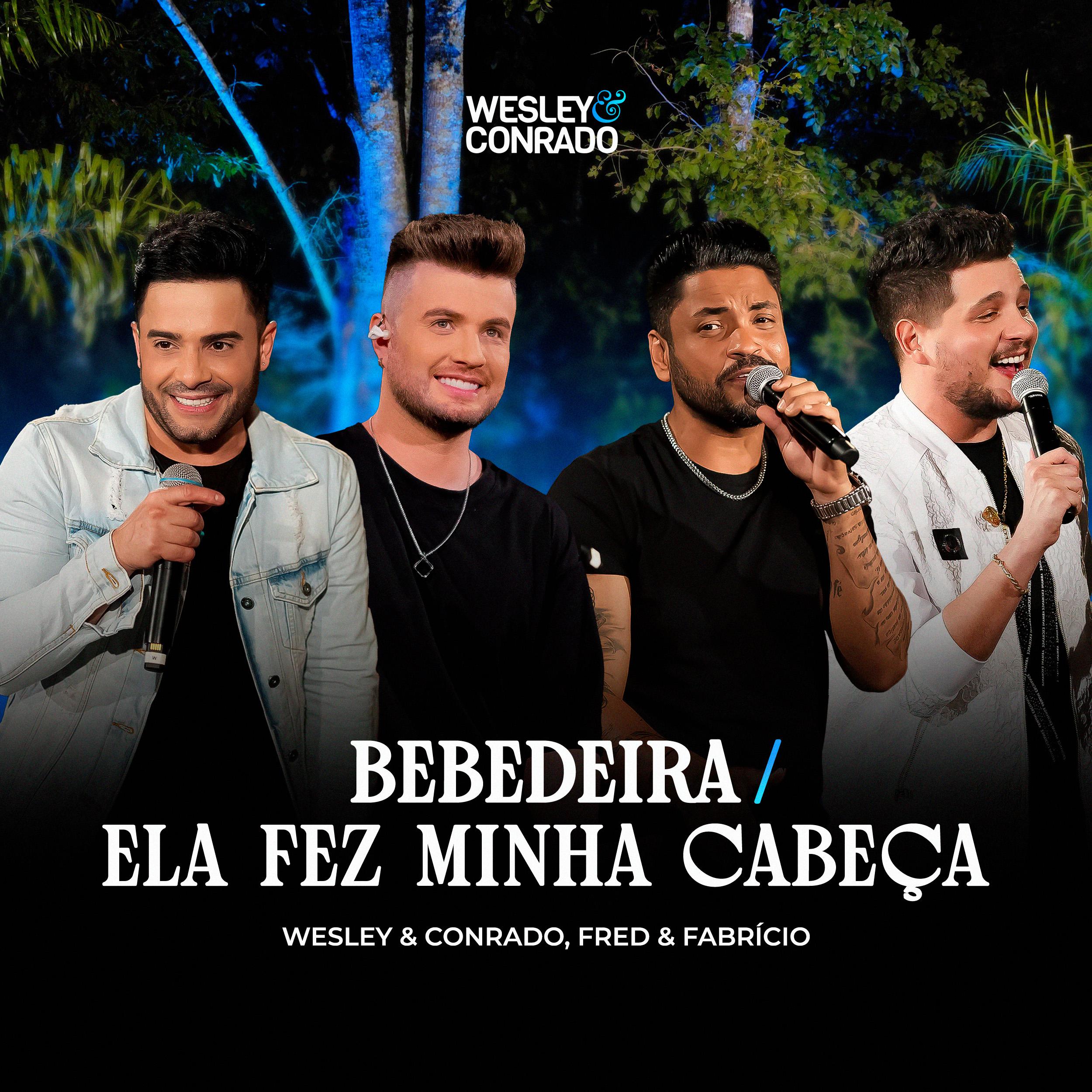 Постер альбома Bebedeira / Ela Fez Minha Cabeça