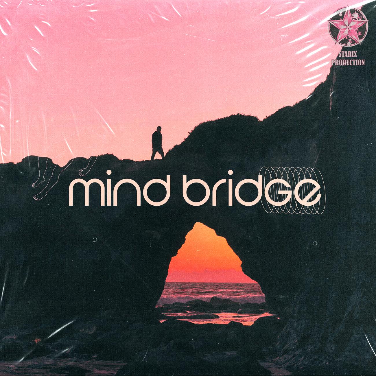 Постер альбома Mind Bridge