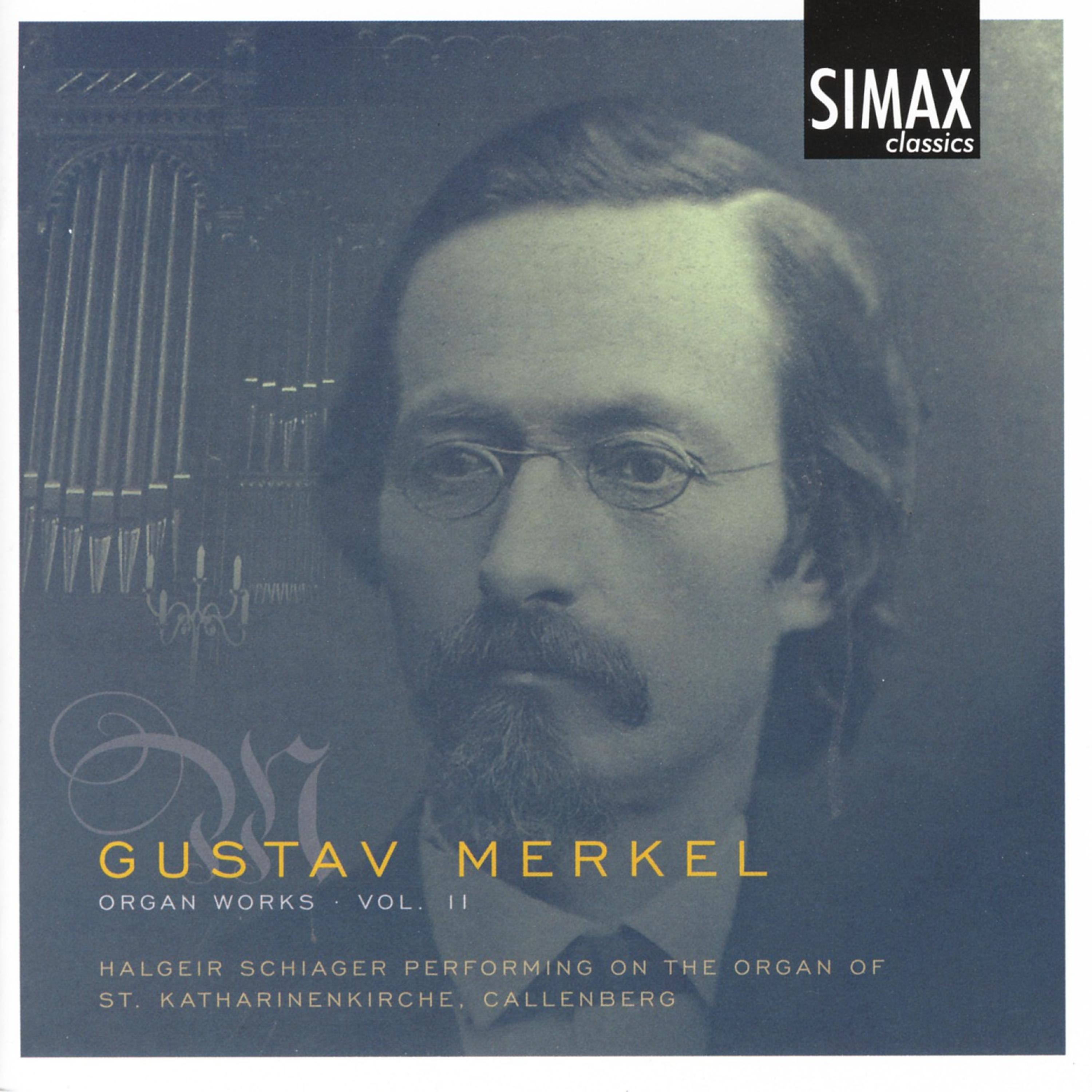 Постер альбома Gustav Merkel - Organ Works Vol. 2