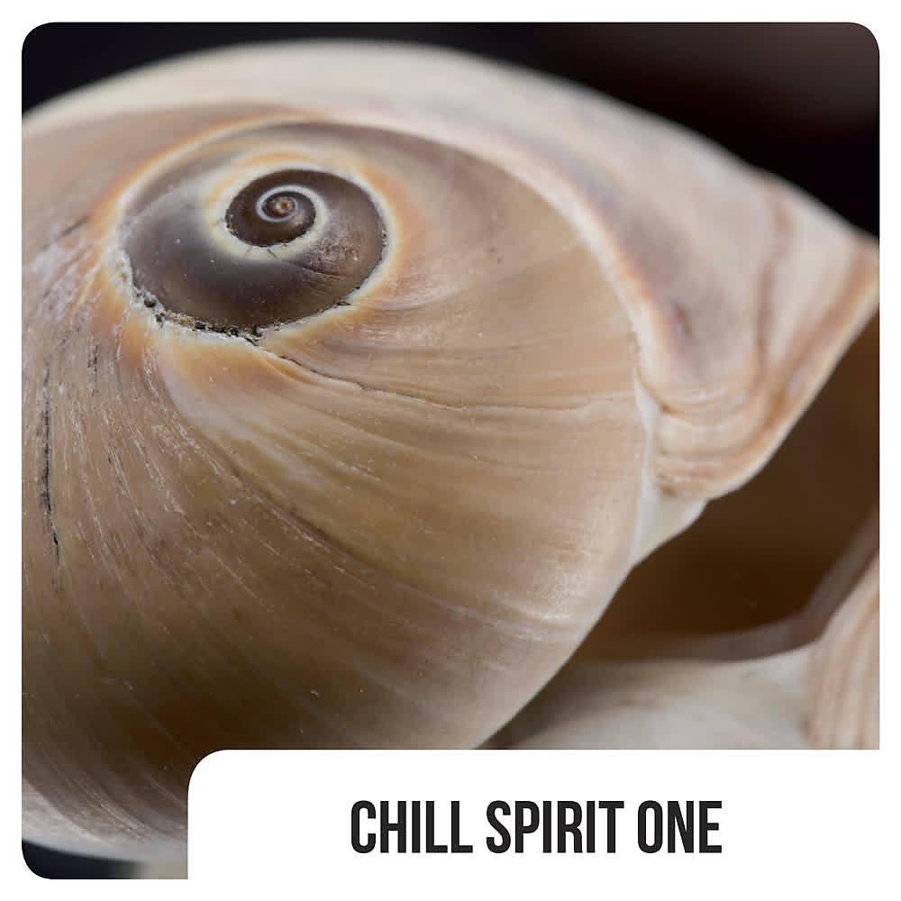 Постер альбома Chill Spirit One