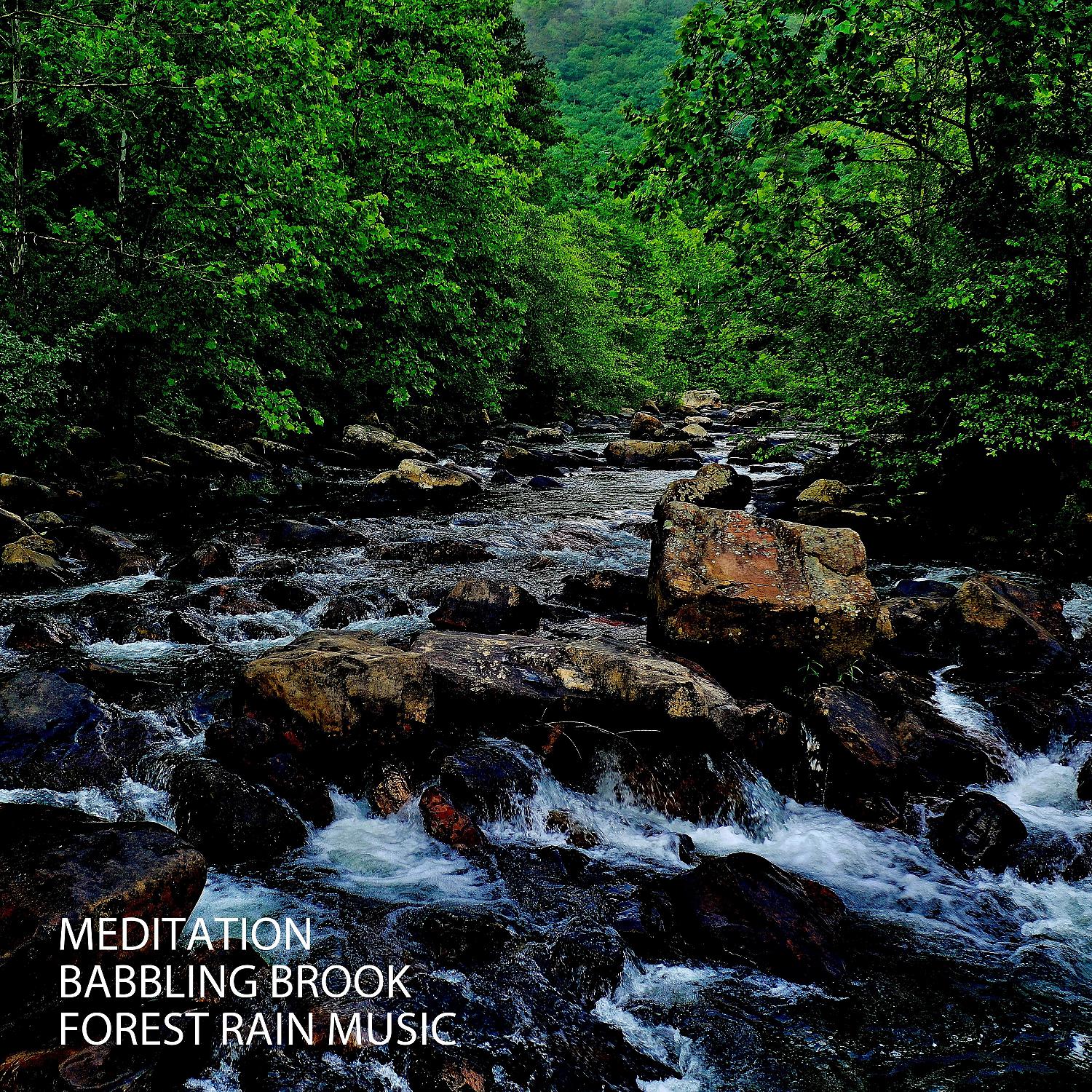Постер альбома Meditation: Babbling Brook Forest Rain Music