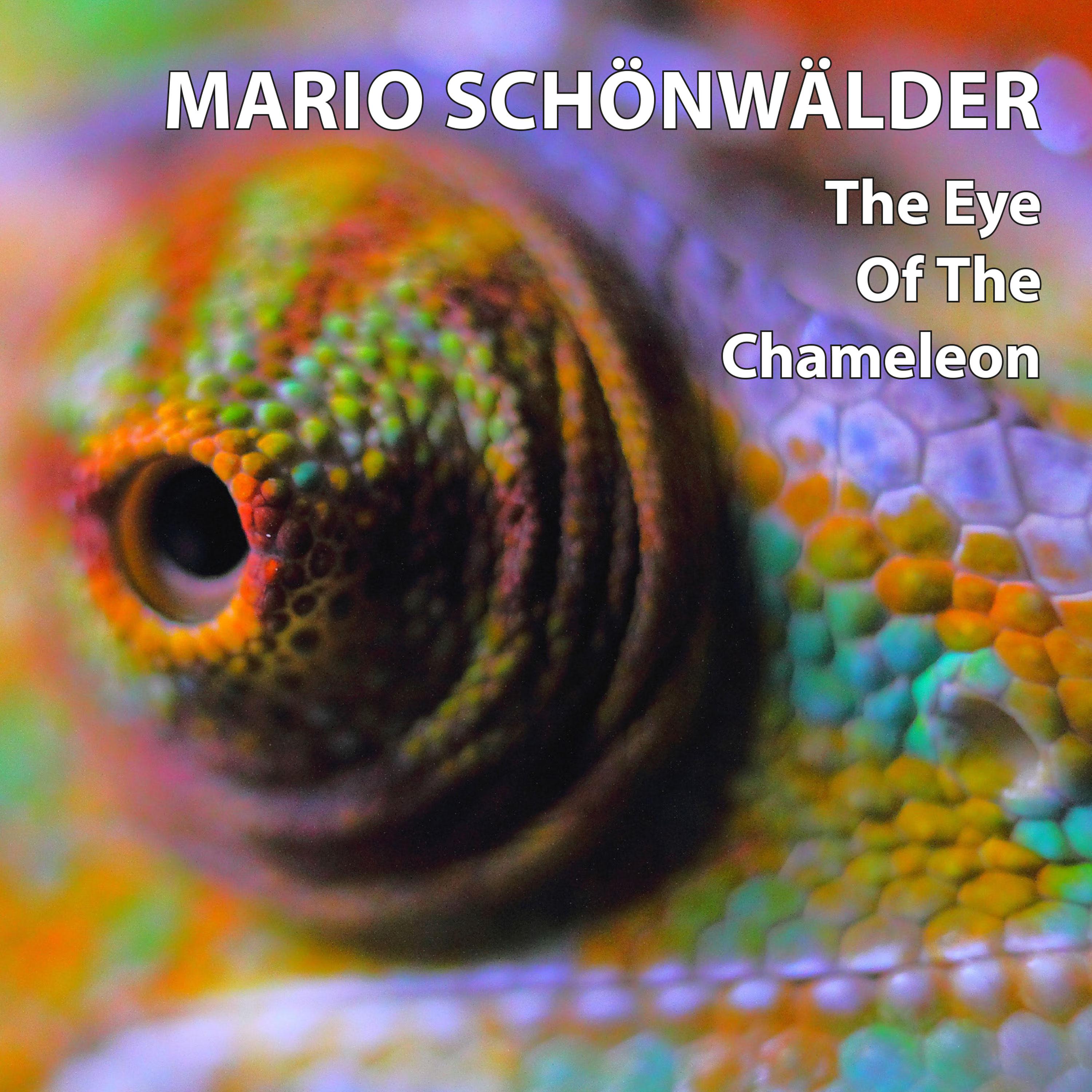 Постер альбома The Eye Of The Chameleon