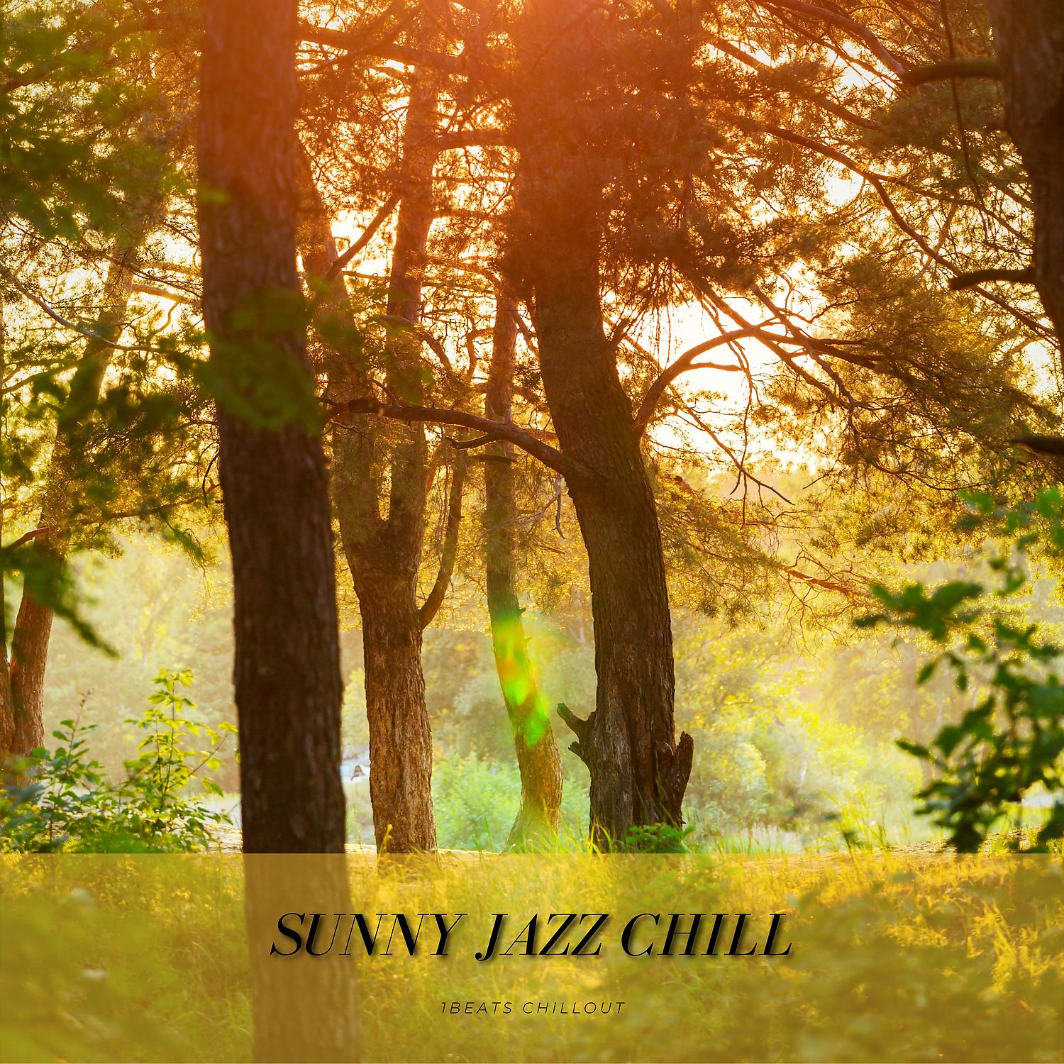 Постер альбома Sunny Jazz Chill