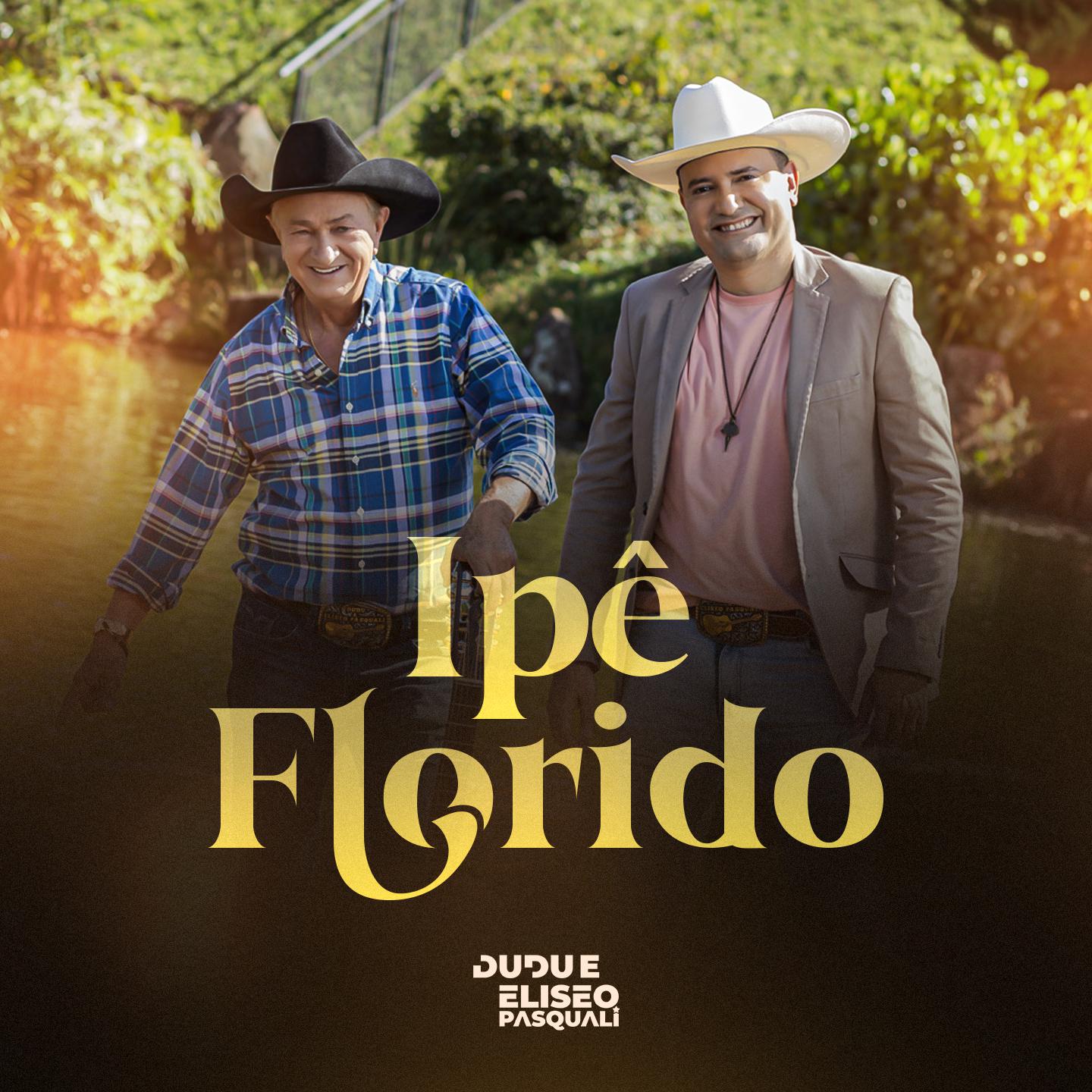 Постер альбома Ipê Florido