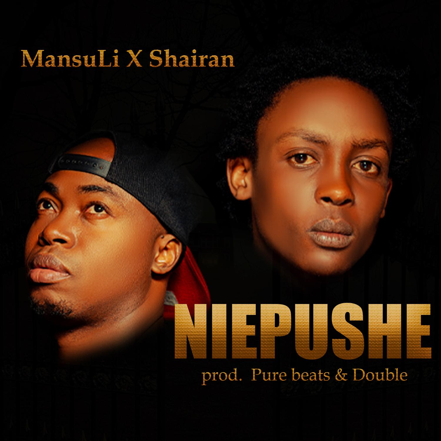 Постер альбома Niepushe