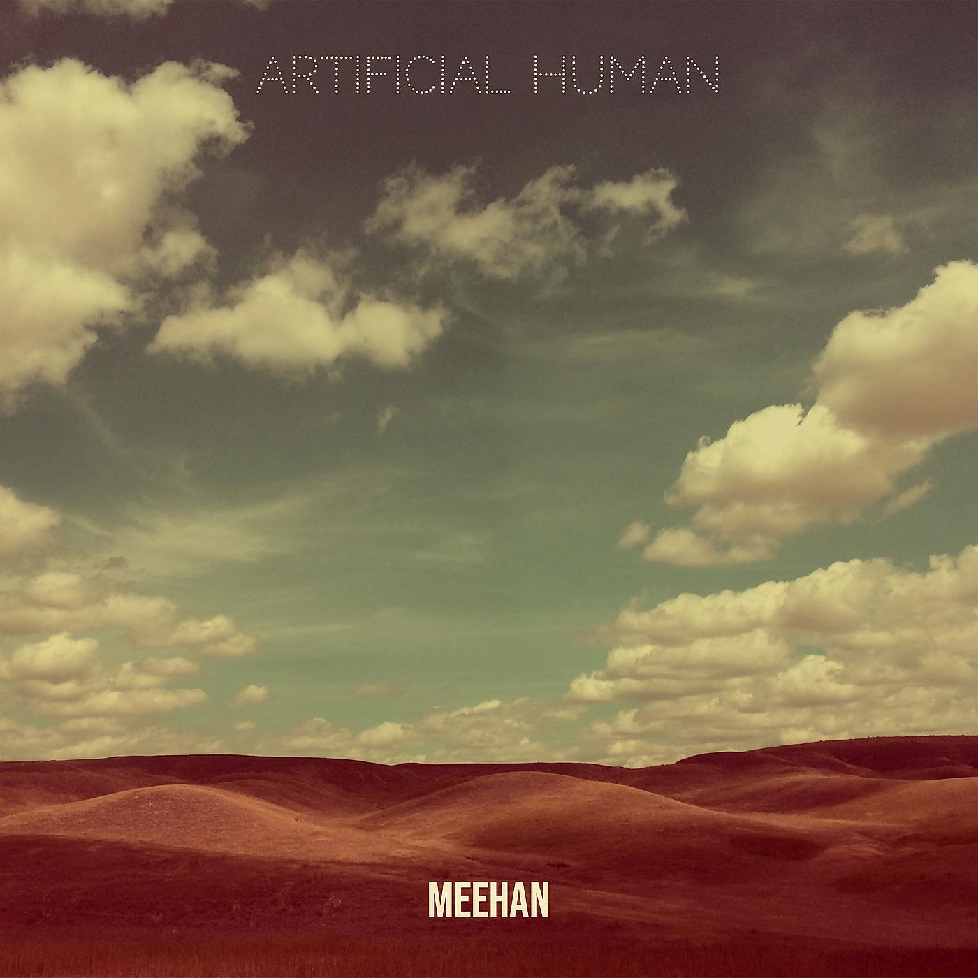 Постер альбома Artificial Human
