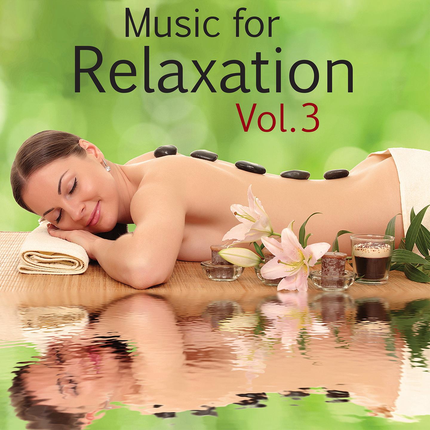 Постер альбома Music for Relaxation, Vol. 3