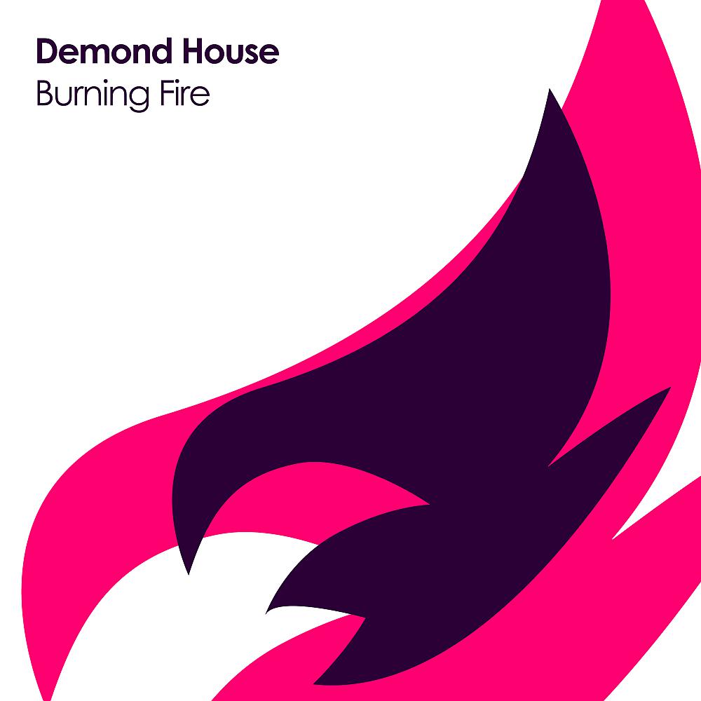 Постер альбома Burning Fire