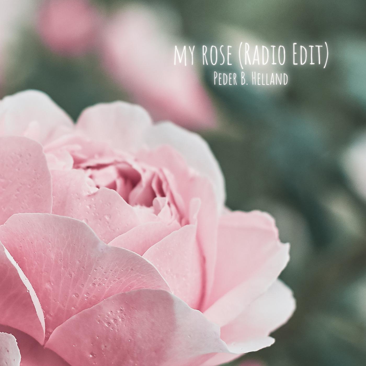 Постер альбома My Rose (Radio Edit)