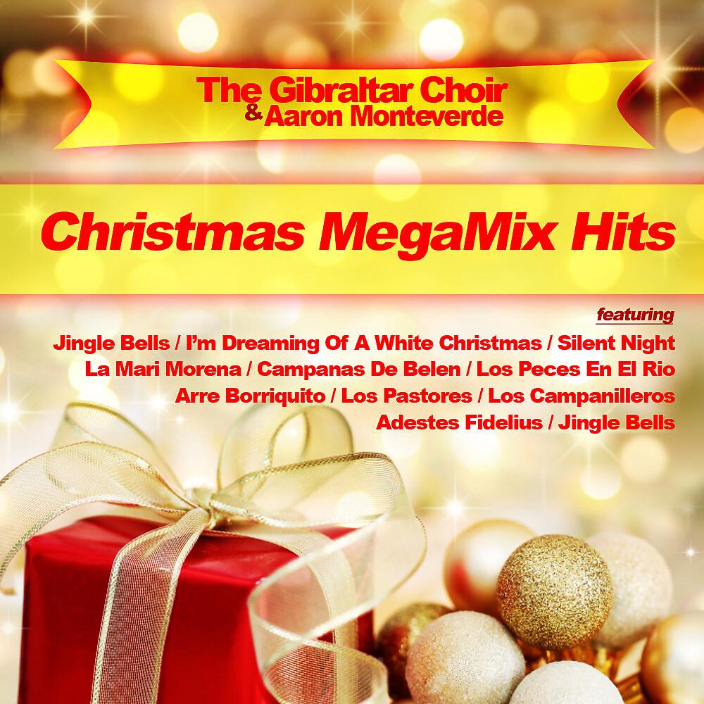 Постер альбома Christmas Megamix Hits